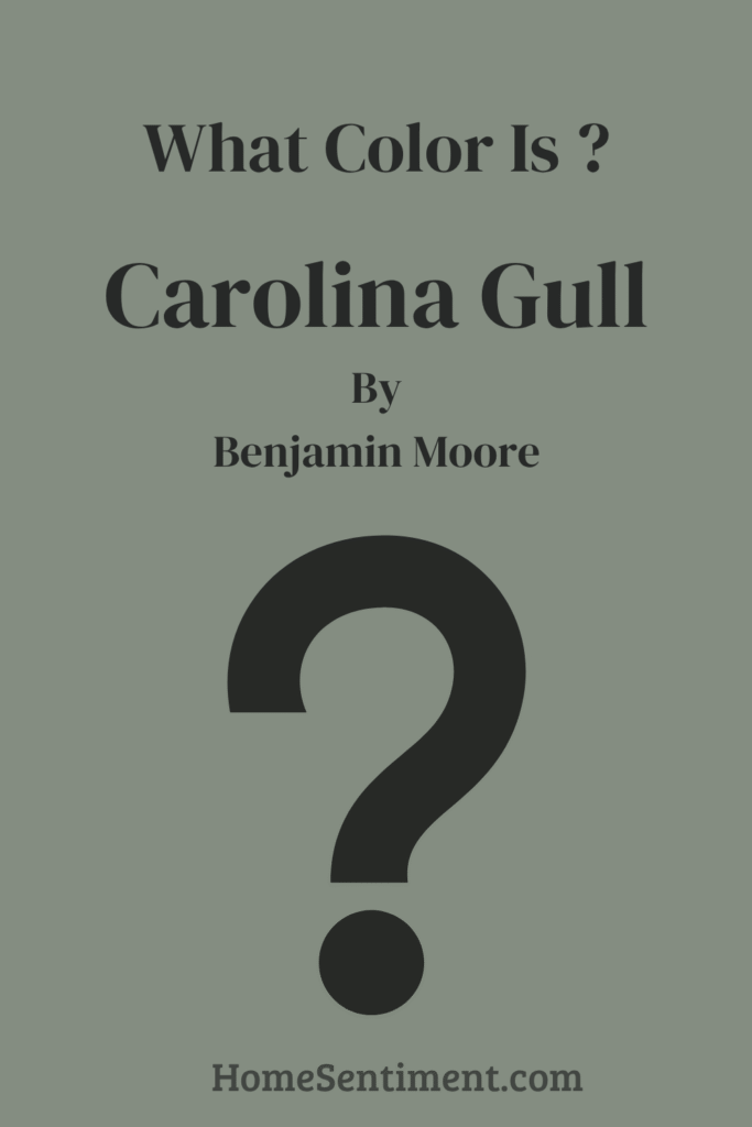 Carolina Gull (2)
