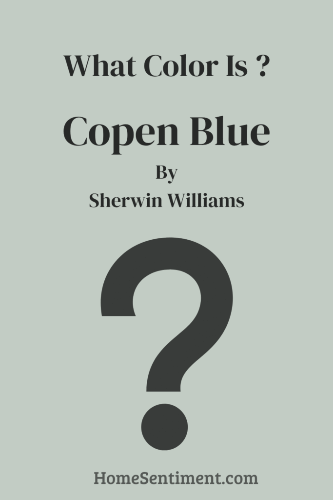 Copen Blue (2)