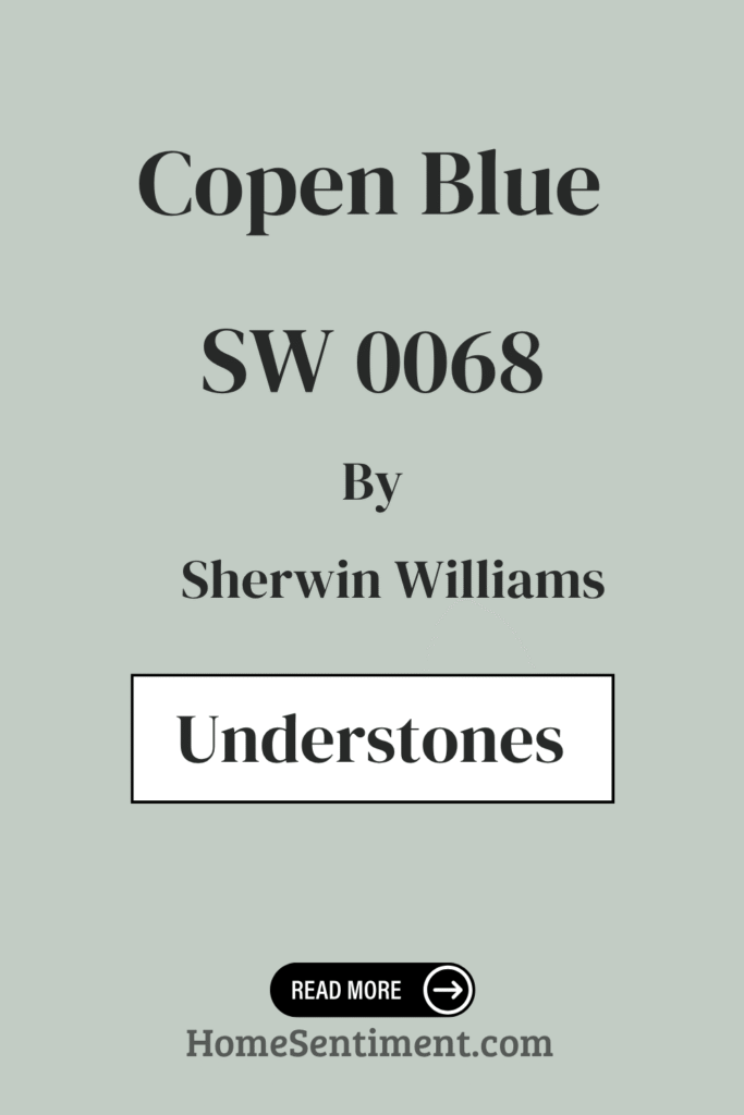 Copen Blue (3)