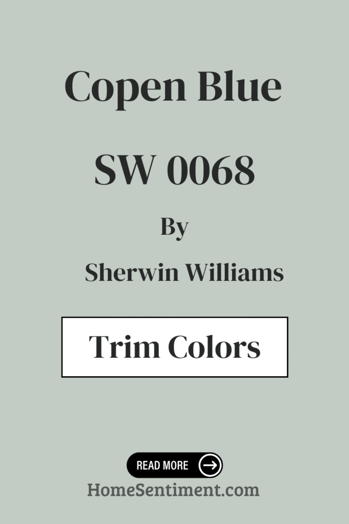 Copen Blue (5)