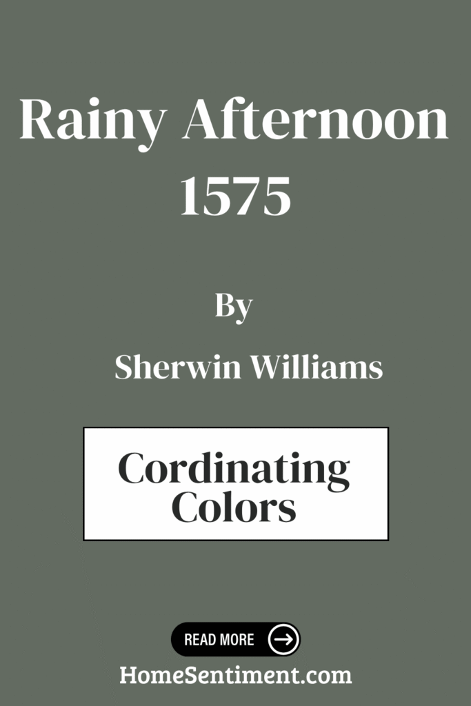 Rainy Afternoon (6)