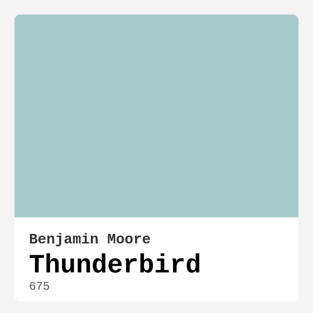 Thunderbird 675 by Benjamin Moore