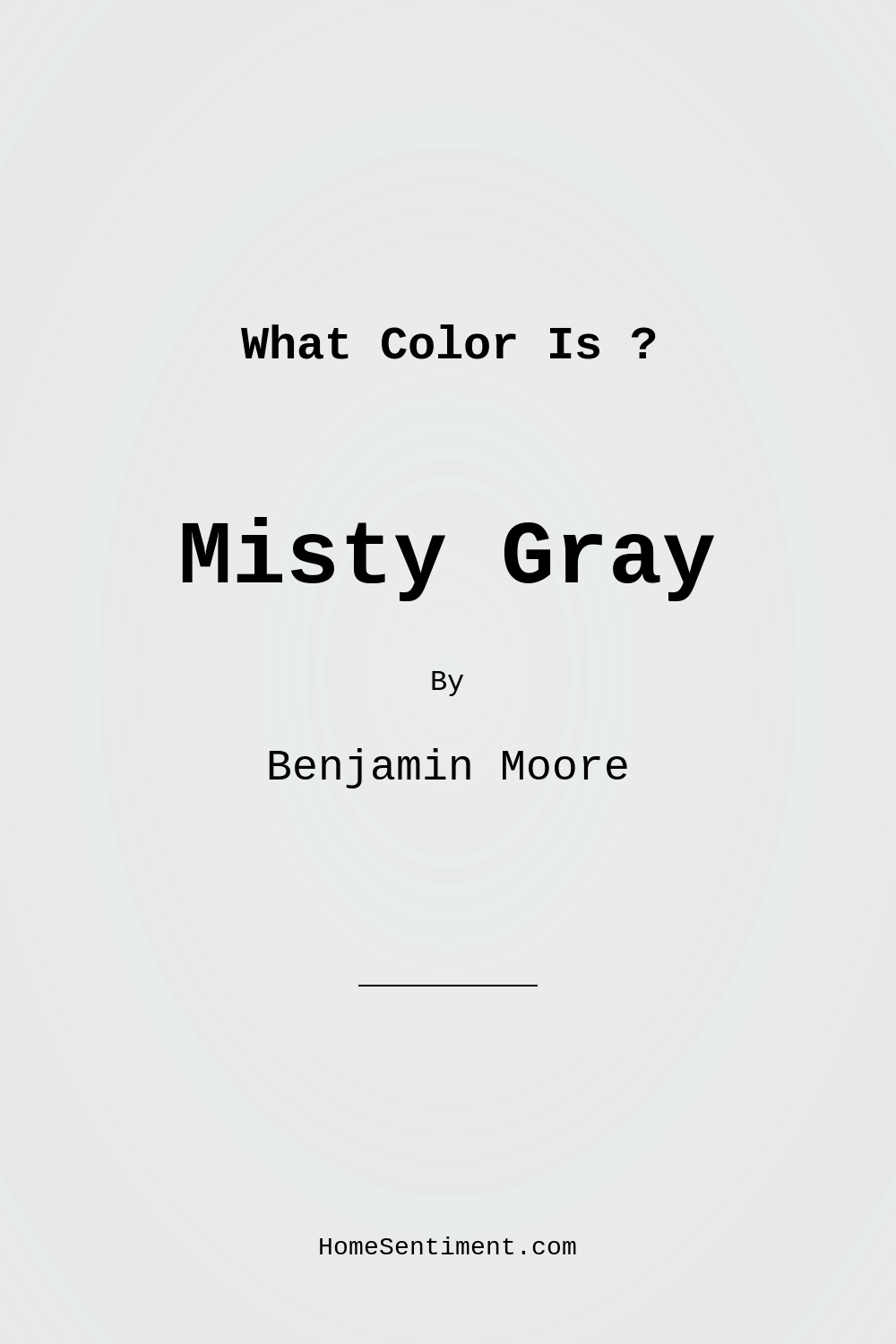 Misty Gray 2124-60 by Benjamin Moore