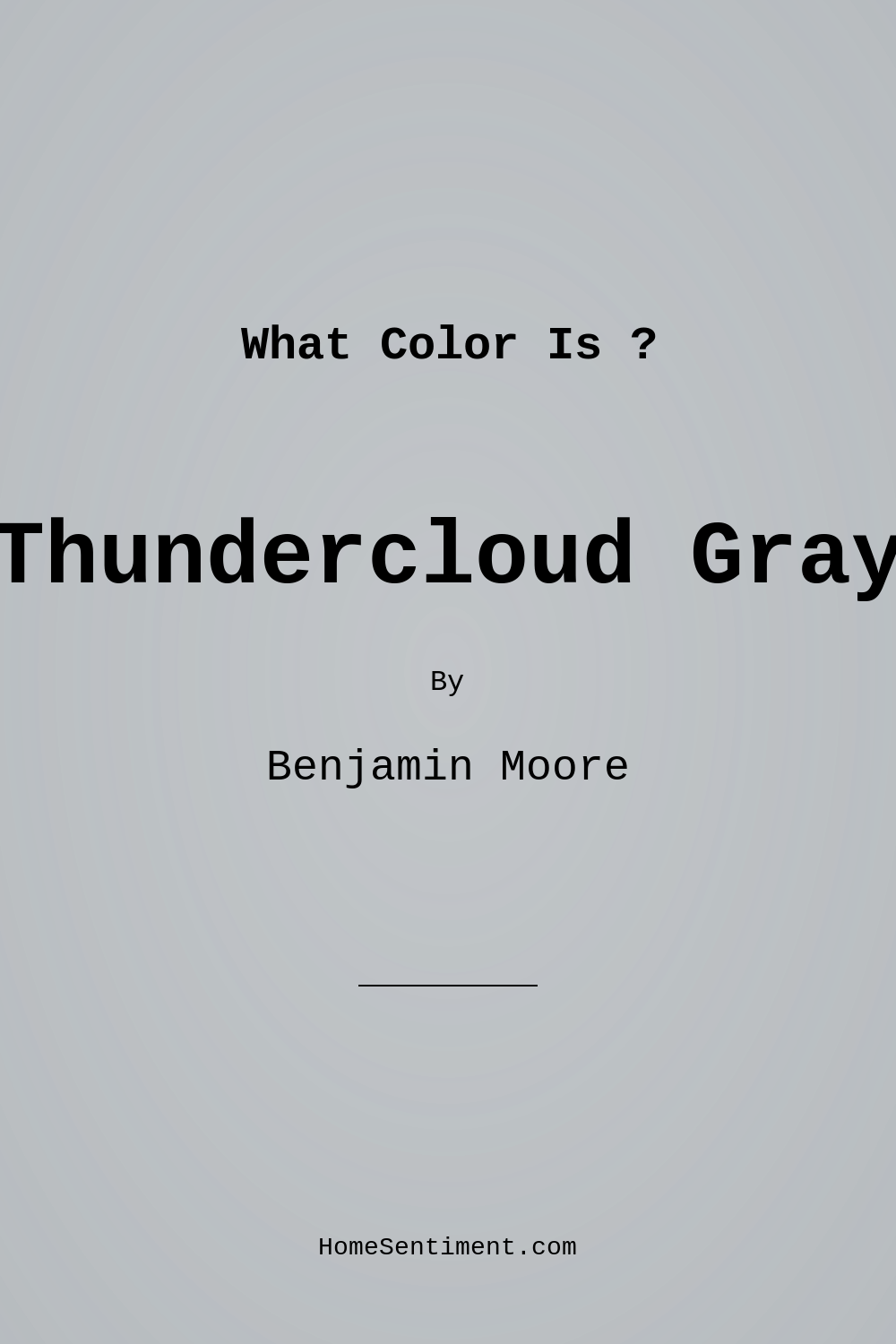 Thundercloud Gray 2124-40 by Benjamin Moore