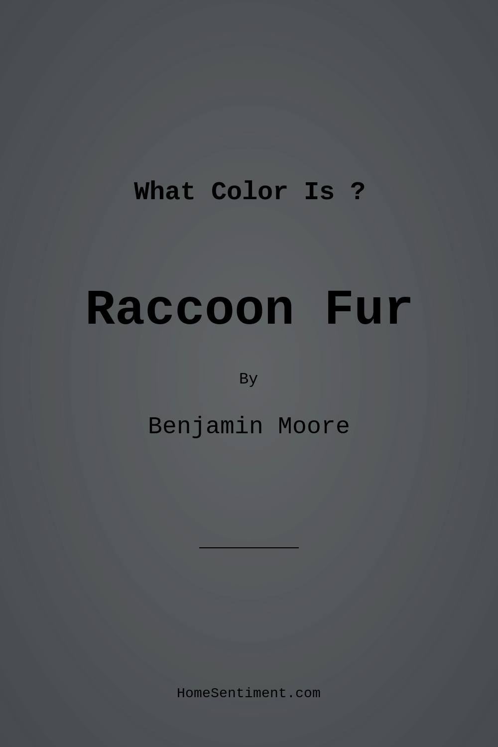 Raccoon Fur 2126-20 by Benjamin Moore