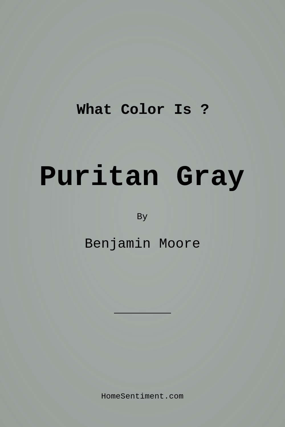 Puritan Gray HC-164 by Benjamin Moore