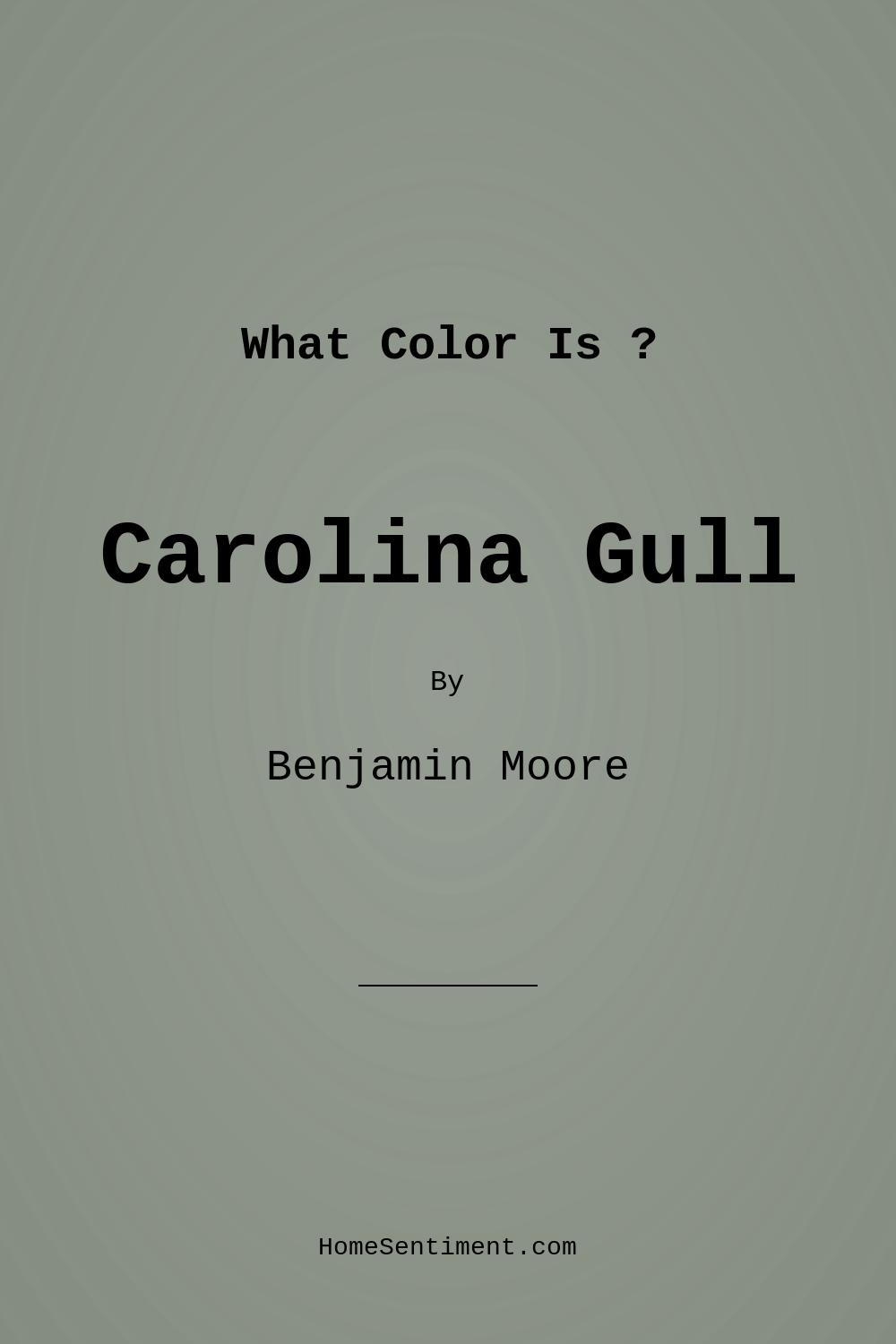 Carolina Gull 2138-40 by Benjamin Moore