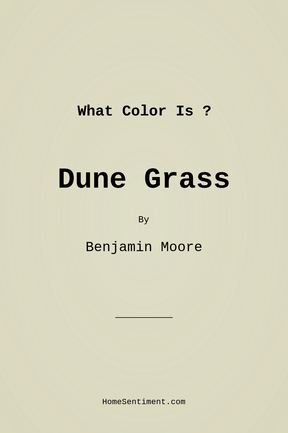Dune Grass 492 by Benjamin Moore