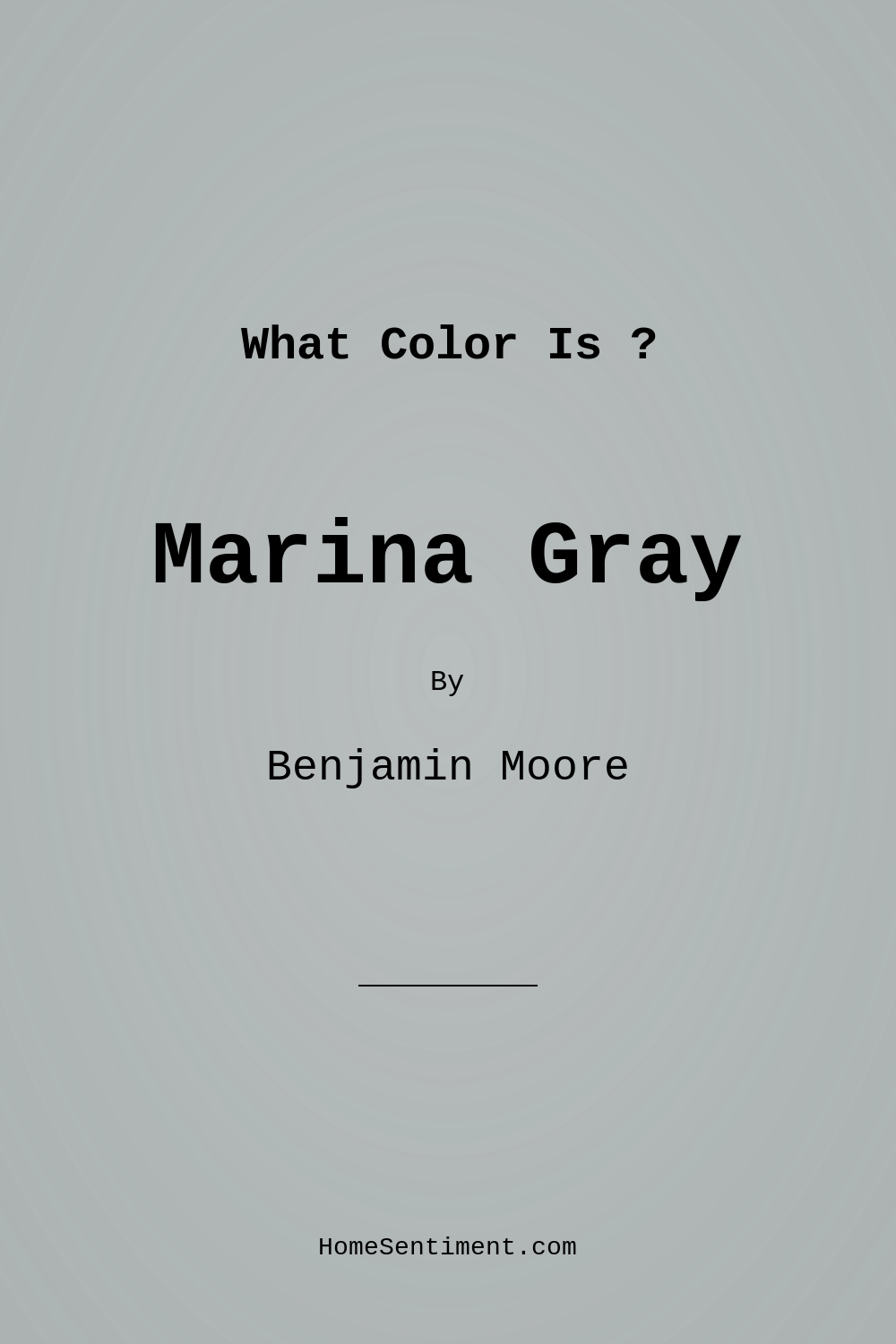 Marina Gray 1599 by Benjamin Moore