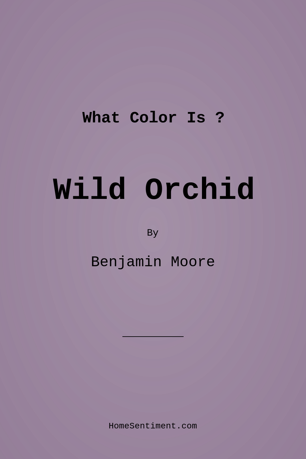 Wild Orchid 2072-40 by Benjamin Moore