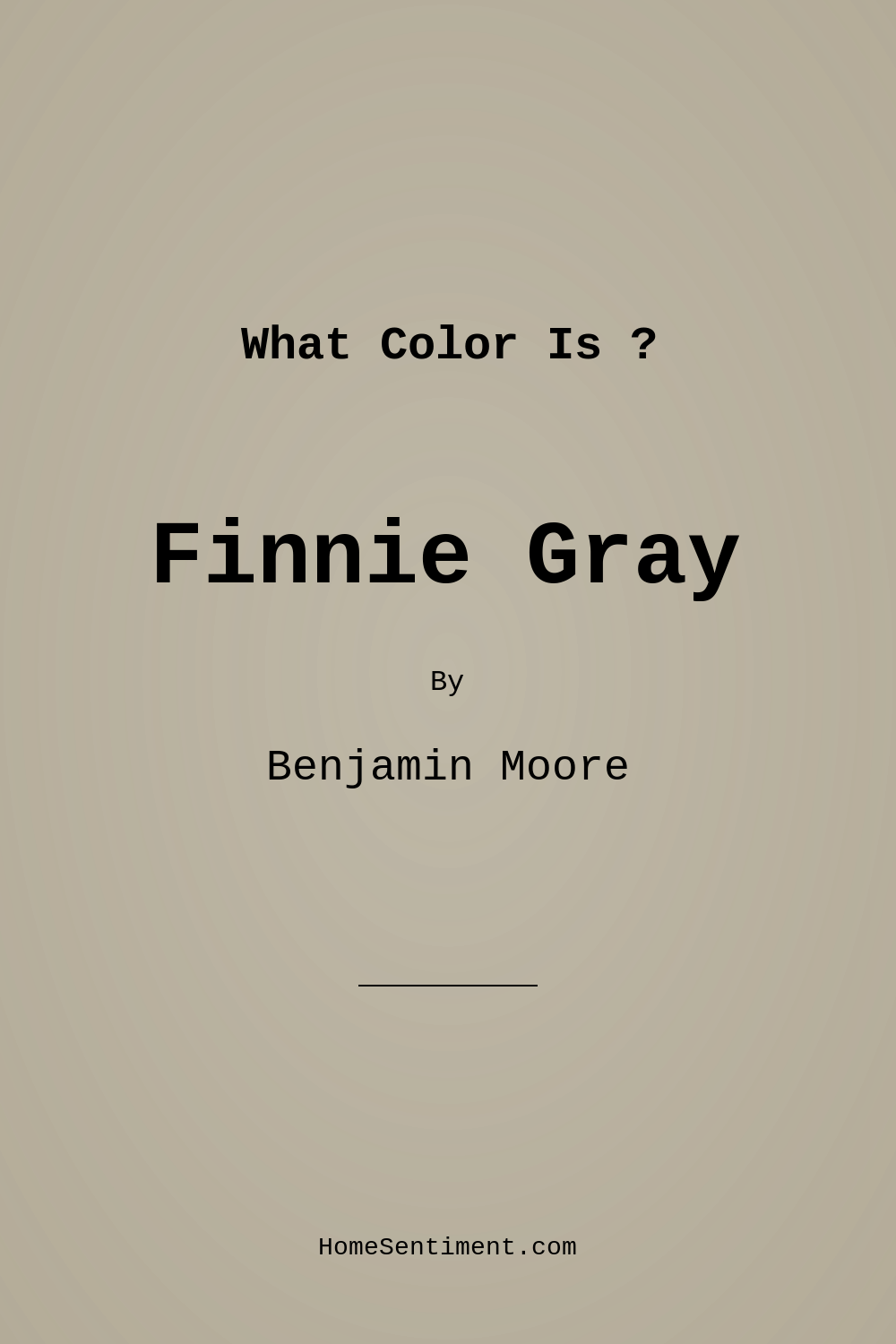 Finnie Gray CW-55 by Benjamin Moore