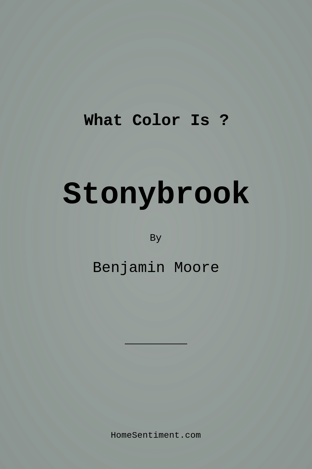 Stonybrook 1566 by Benjamin Moore
