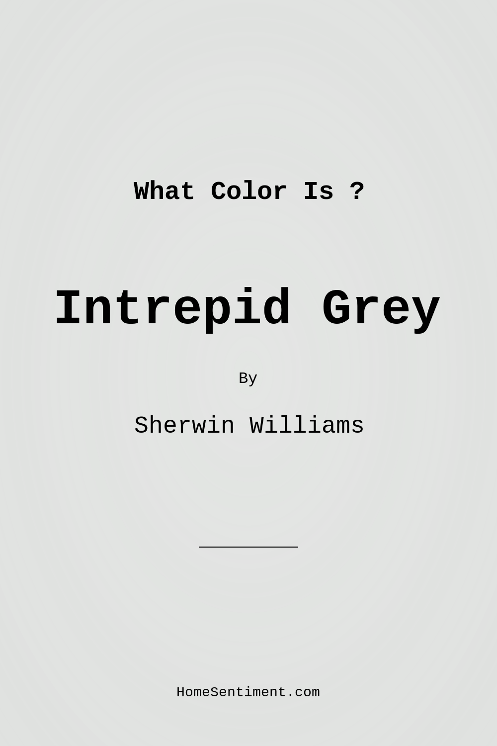 Intrepid Grey SW 9556 by Sherwin Williams