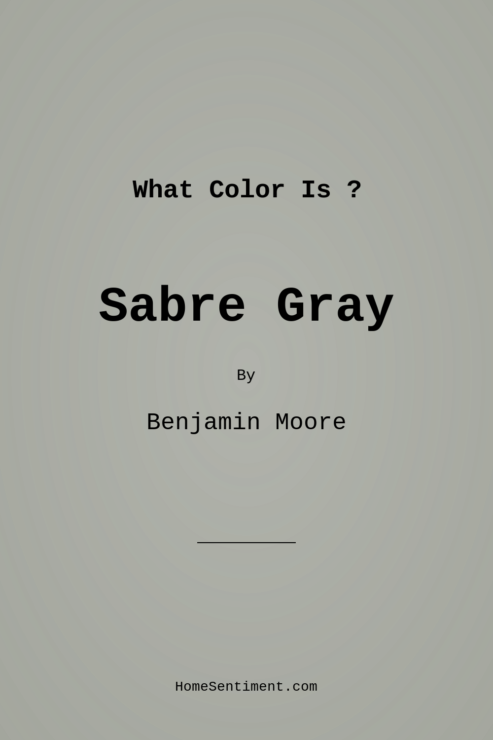 Sabre Gray 1482 by Benjamin Moore