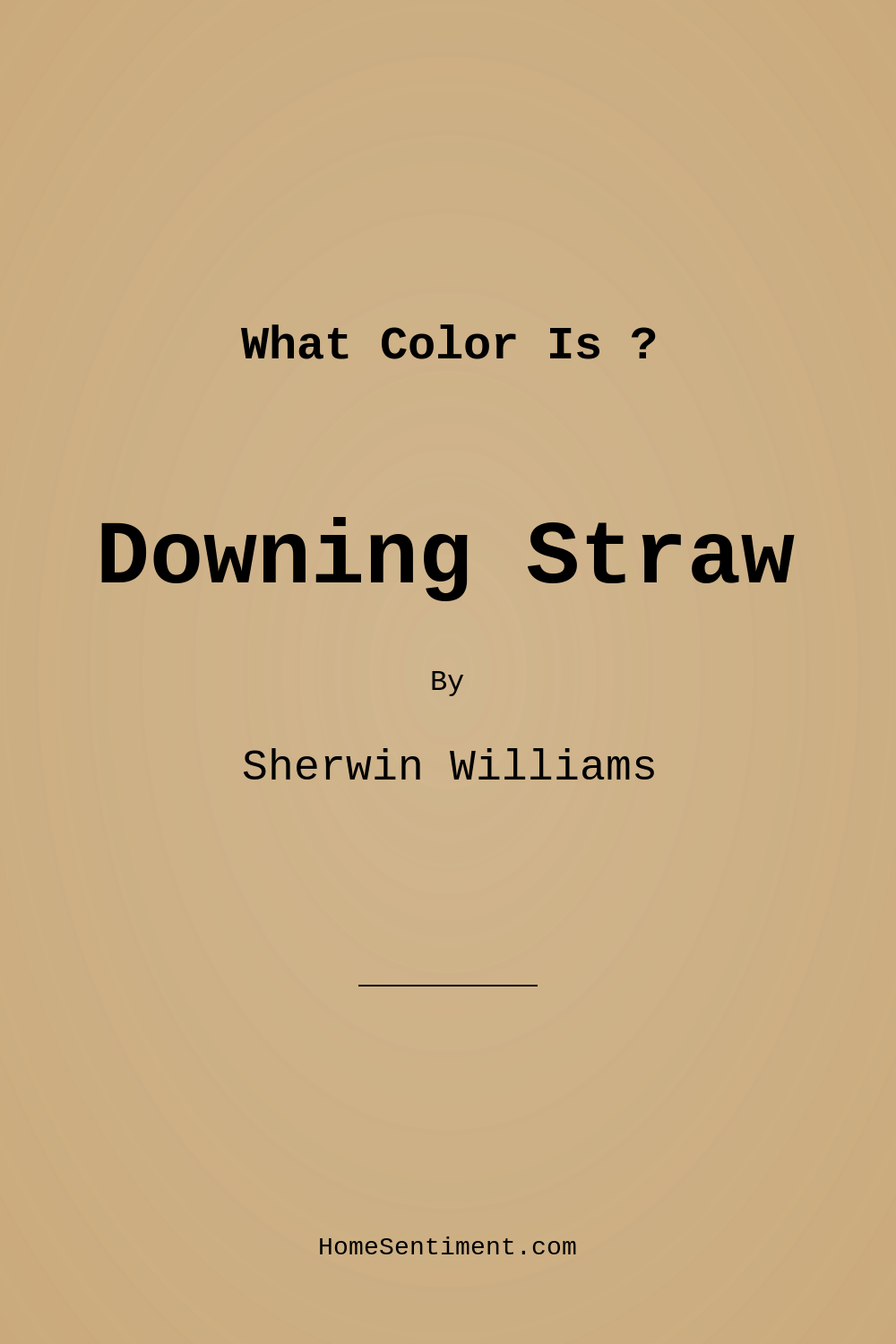 Downing Straw SW 2813 by Sherwin Williams