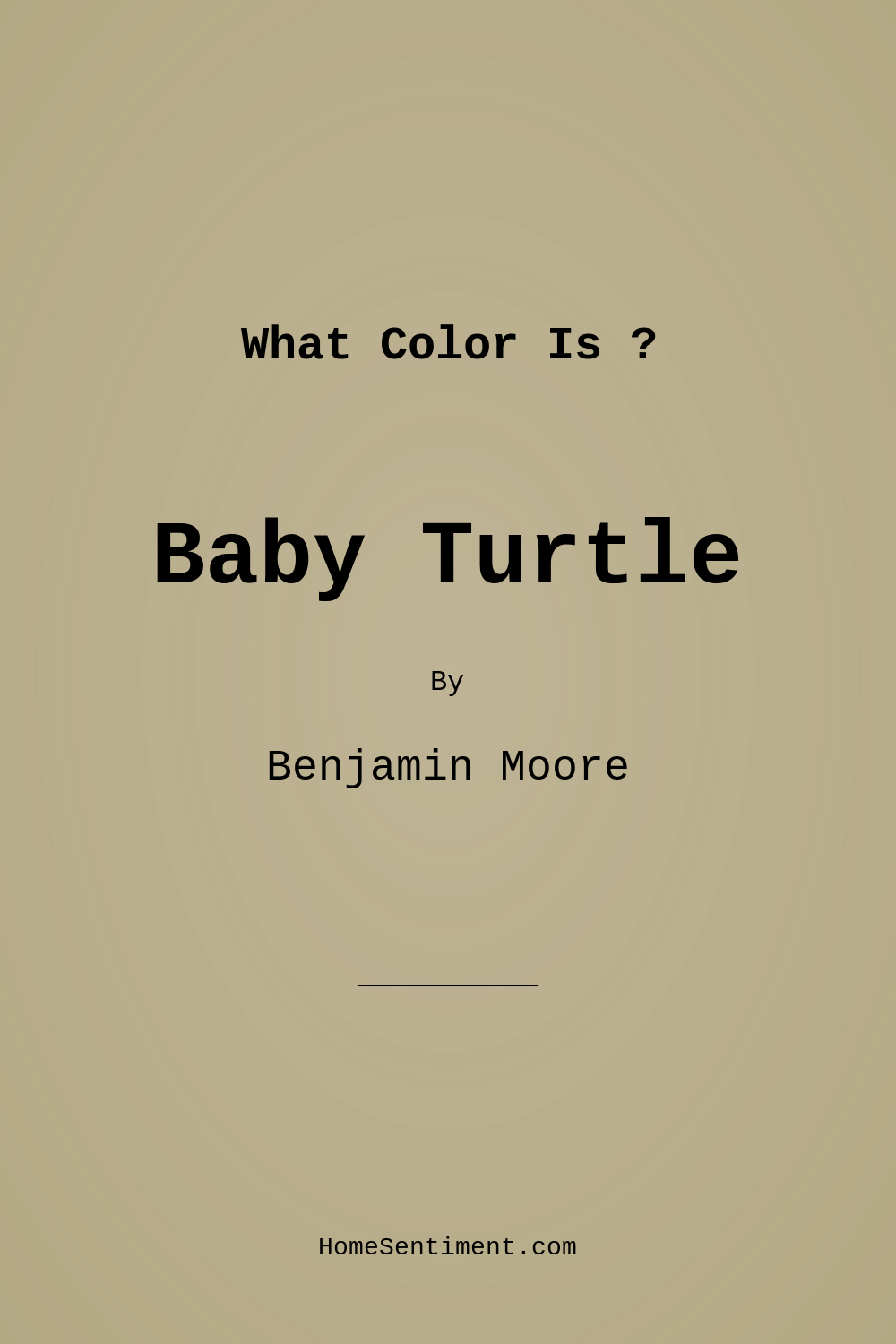 Baby Turtle 515 by Benjamin Moore