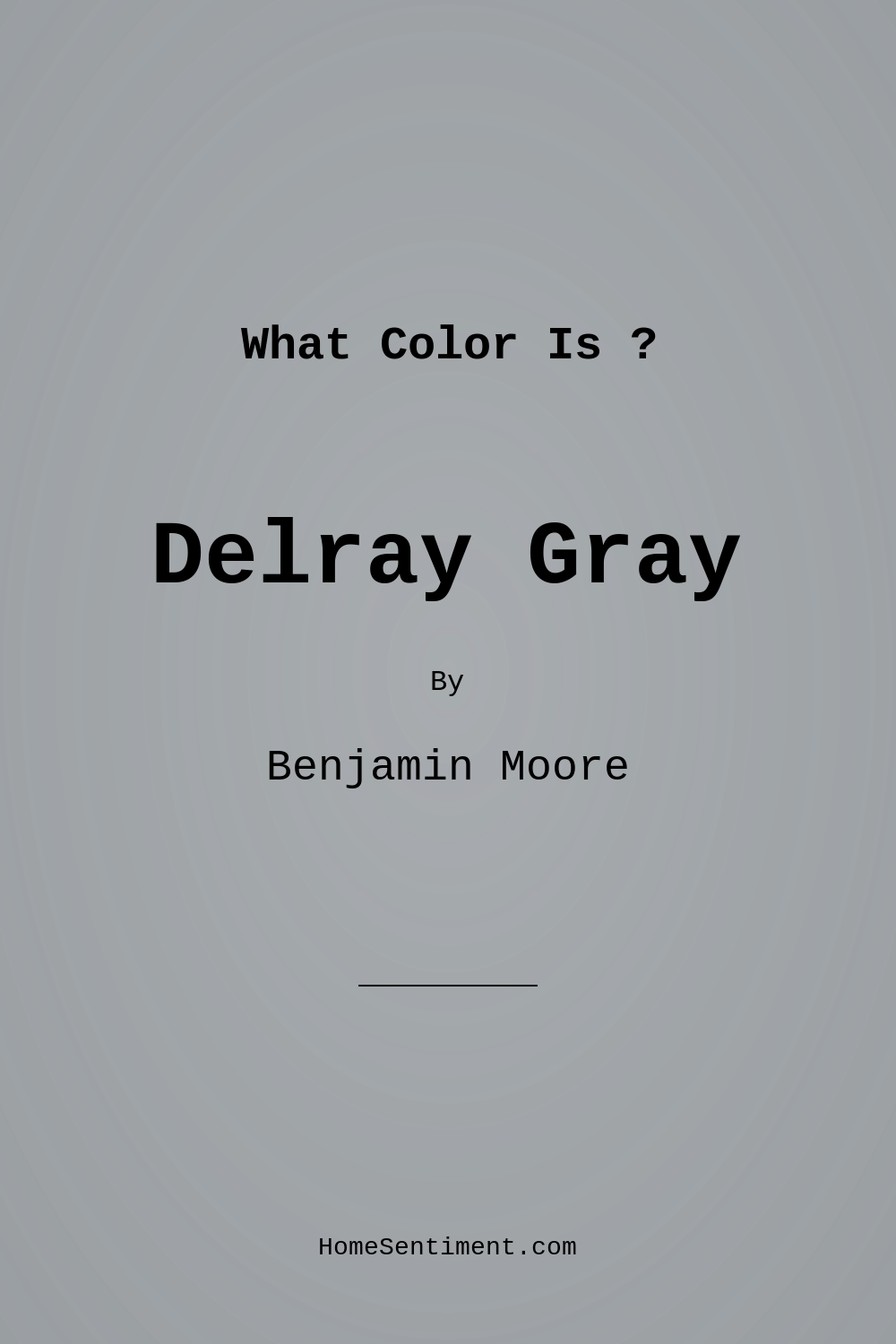 Delray Gray 1614 by Benjamin Moore