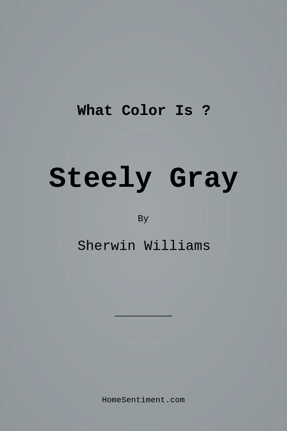 Steely Gray SW 7664 by Sherwin Williams