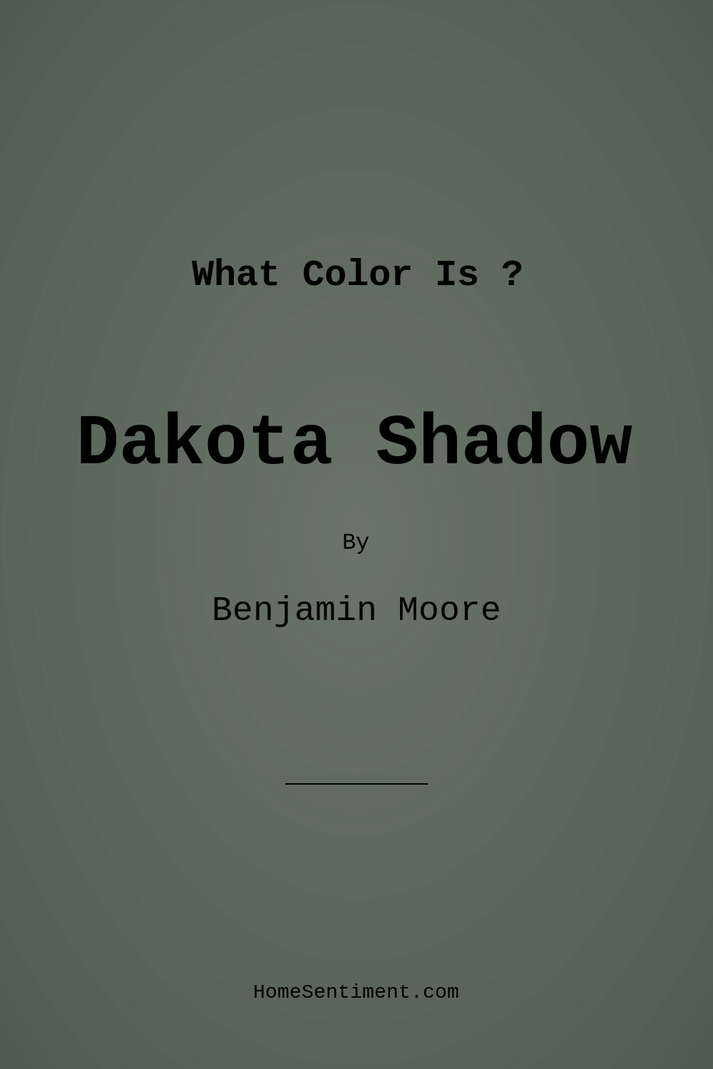 Dakota Shadow 448 by Benjamin Moore