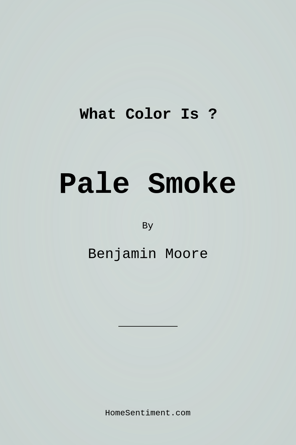Pale Smoke 1584 by Benjamin Moore