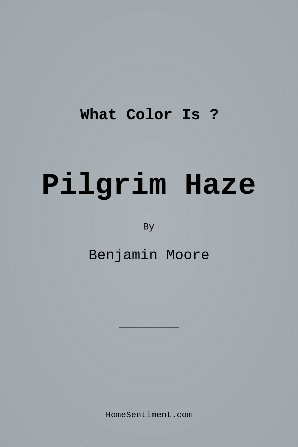 Pilgrim Haze 2132-50 by Benjamin Moore