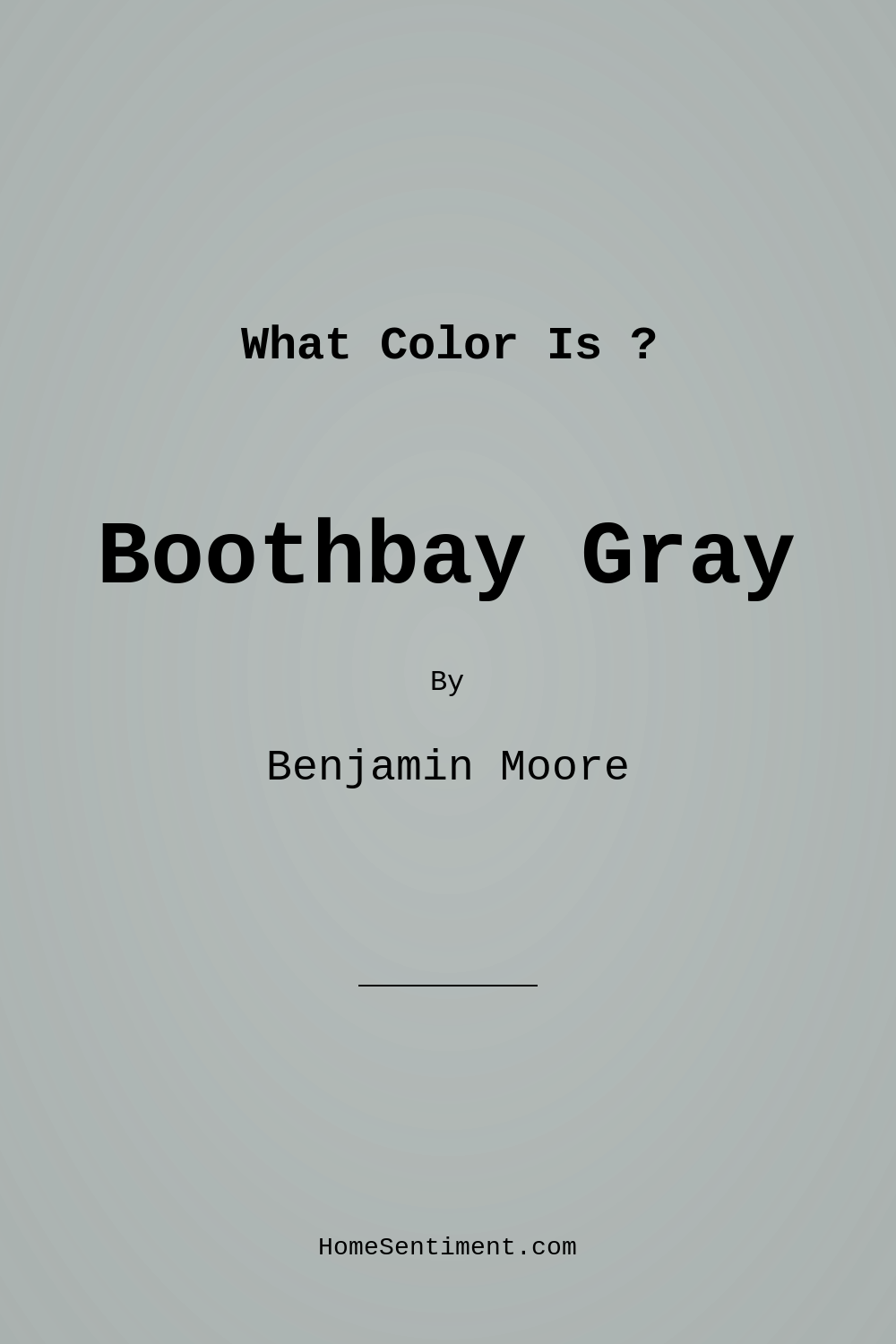 Boothbay Gray HC-165 by Benjamin Moore
