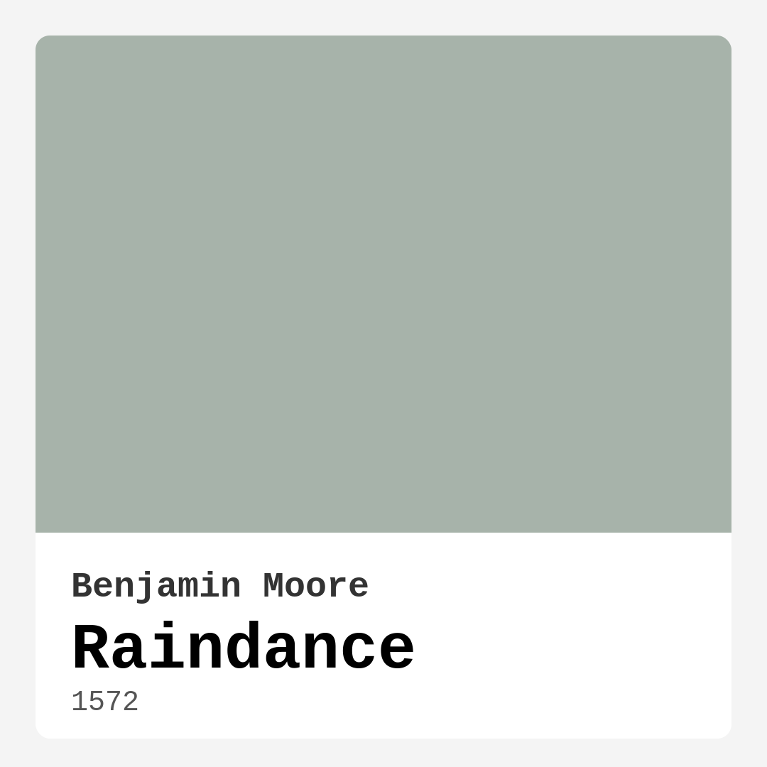 Raindance 1572 by Benjamin Moore