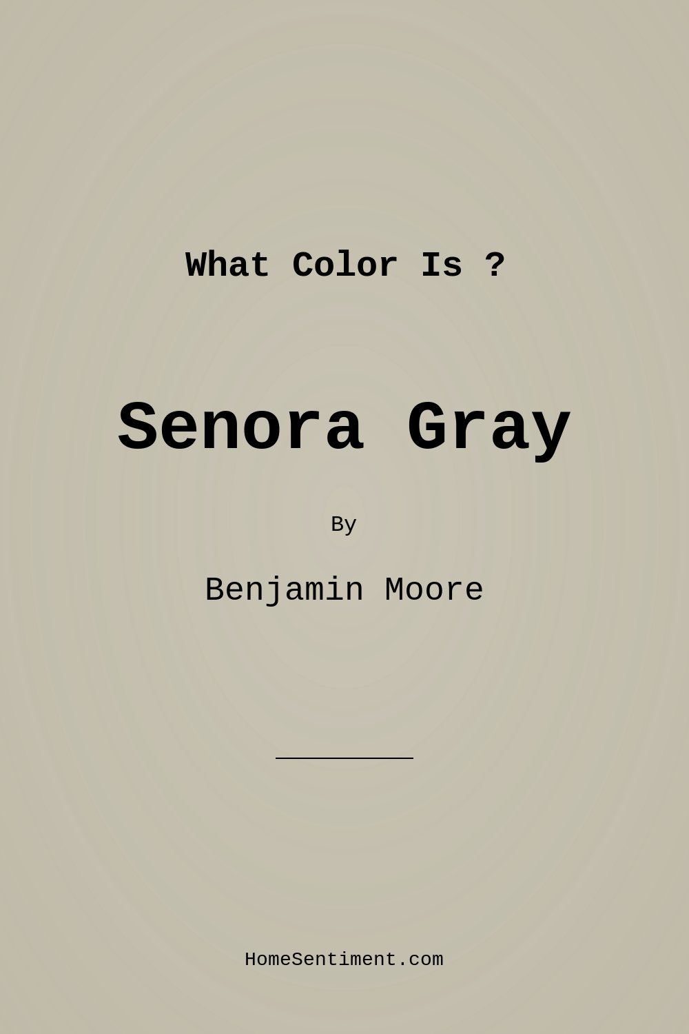 Senora Gray 1530 by Benjamin Moore