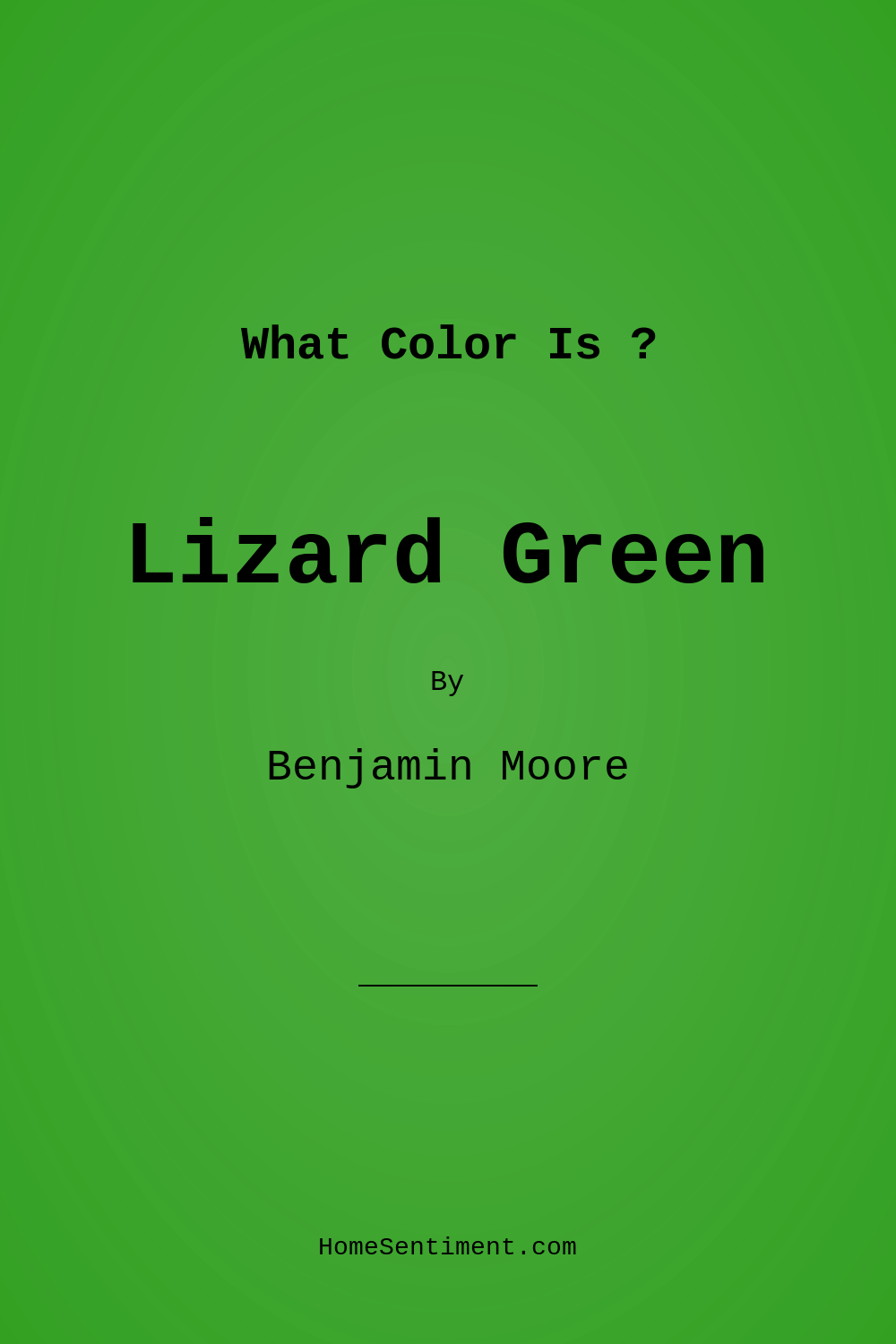 Lizard Green 2030-10 by Benjamin Moore