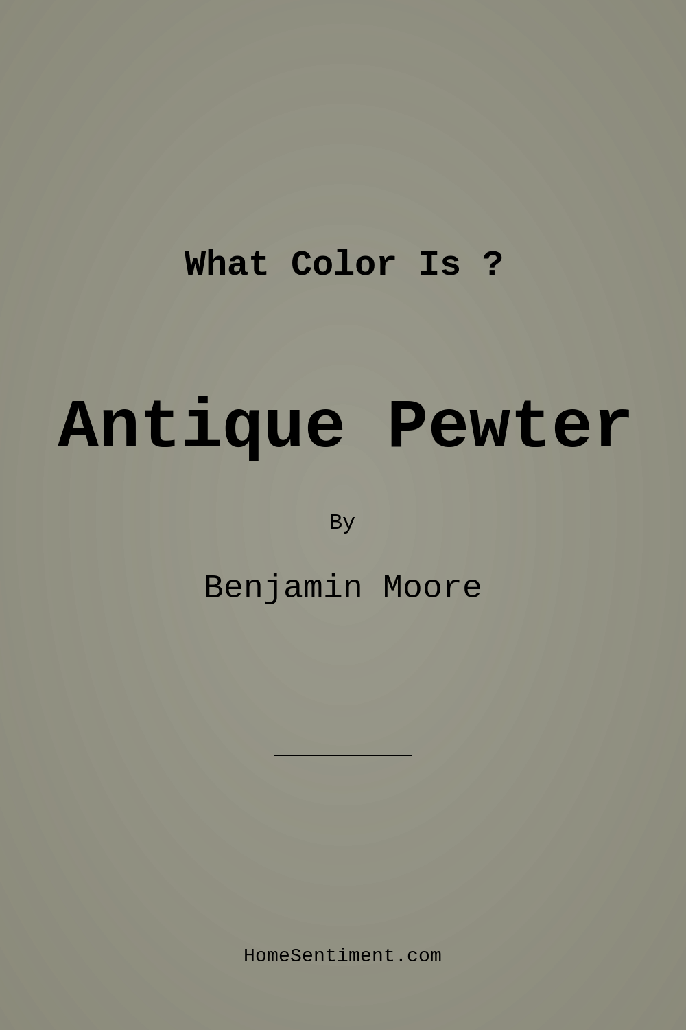 Antique Pewter 1560 by Benjamin Moore