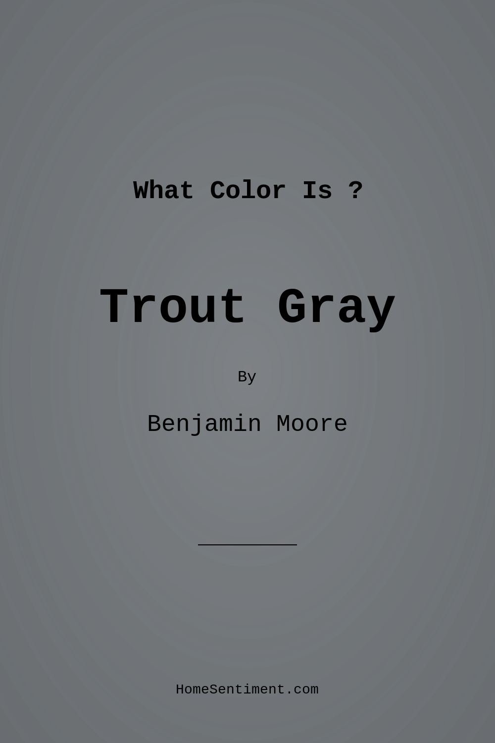 Trout Gray 2124-20 by Benjamin Moore