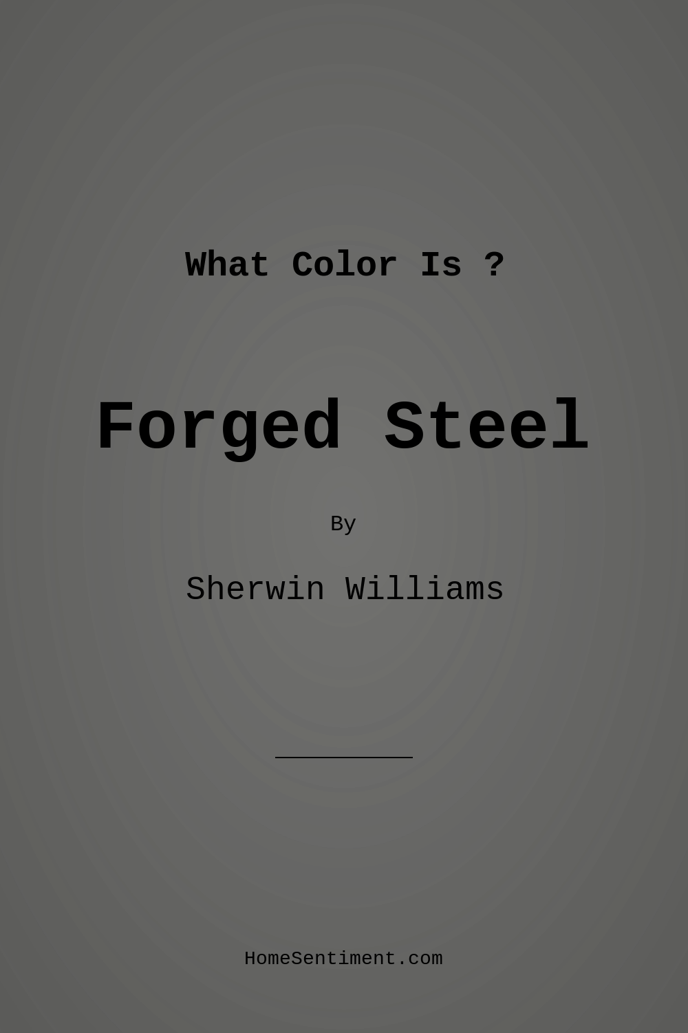 Forged Steel SW 9565 by Sherwin Williams