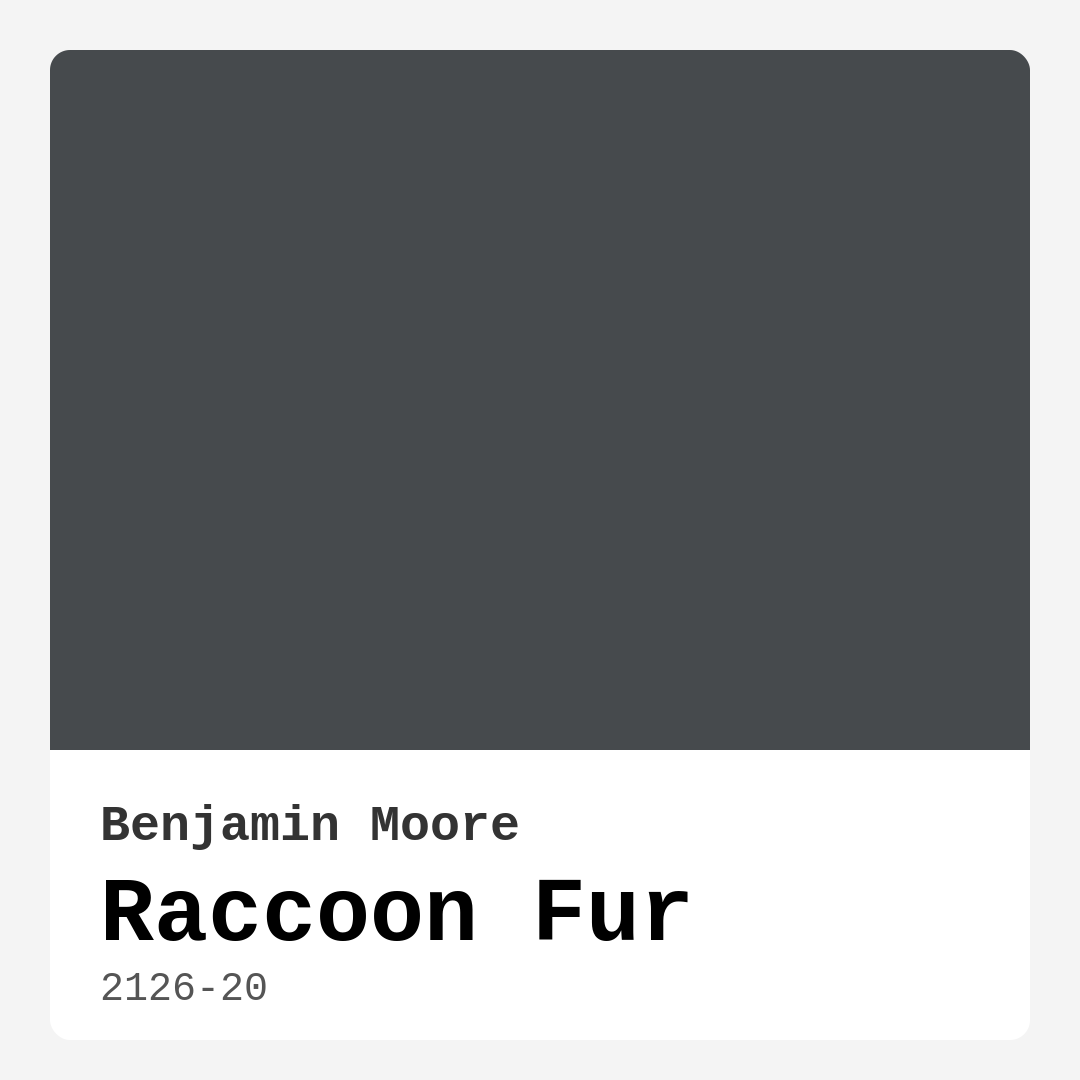 Raccoon Fur 2126-20 by Benjamin Moore