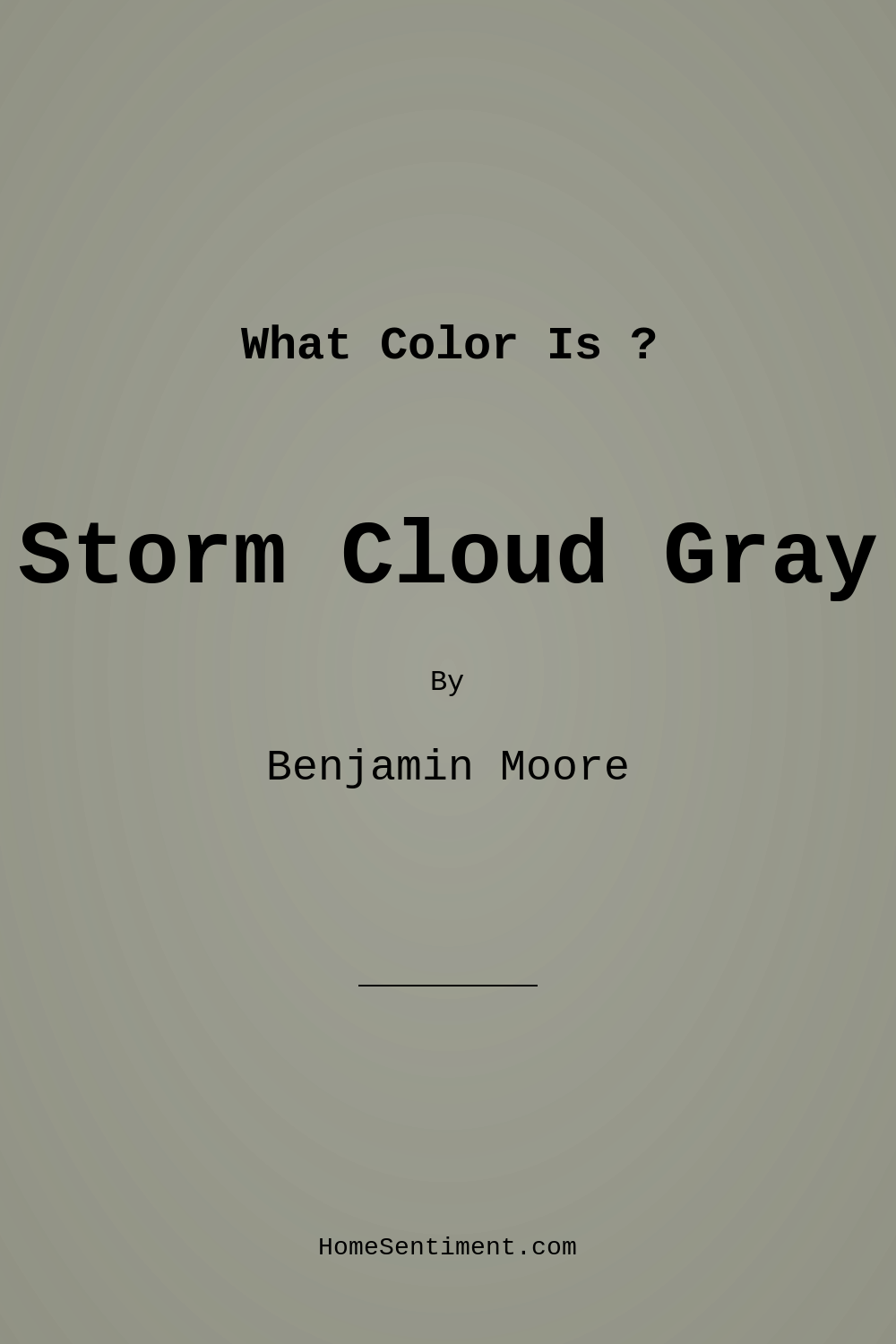 Storm Cloud Gray 2140-40 by Benjamin Moore