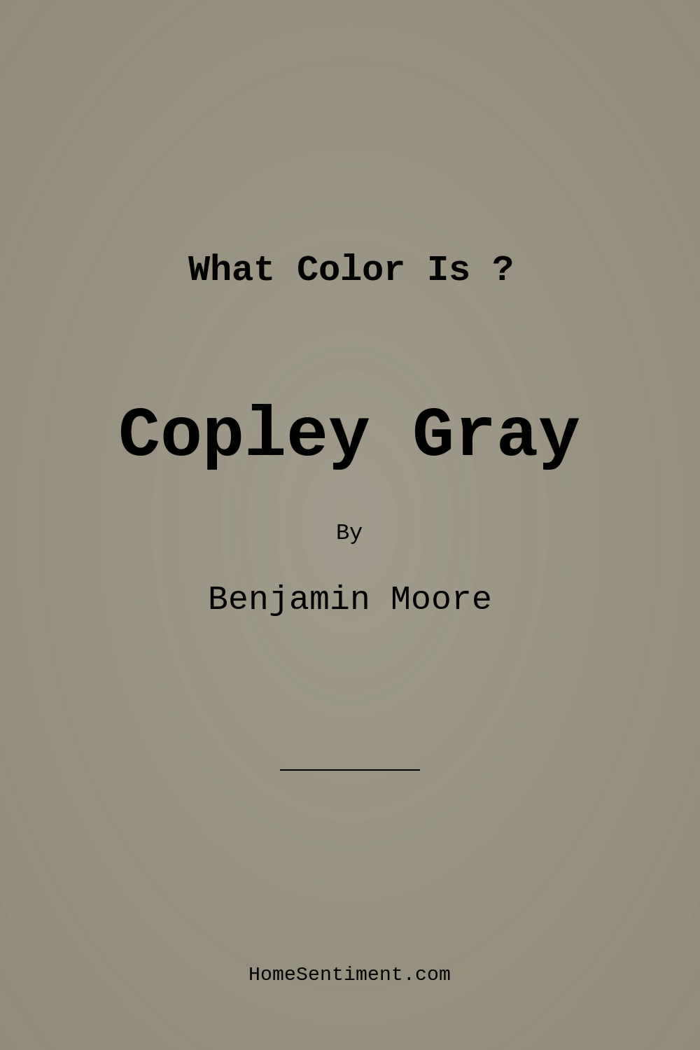 Copley Gray HC-104 by Benjamin Moore