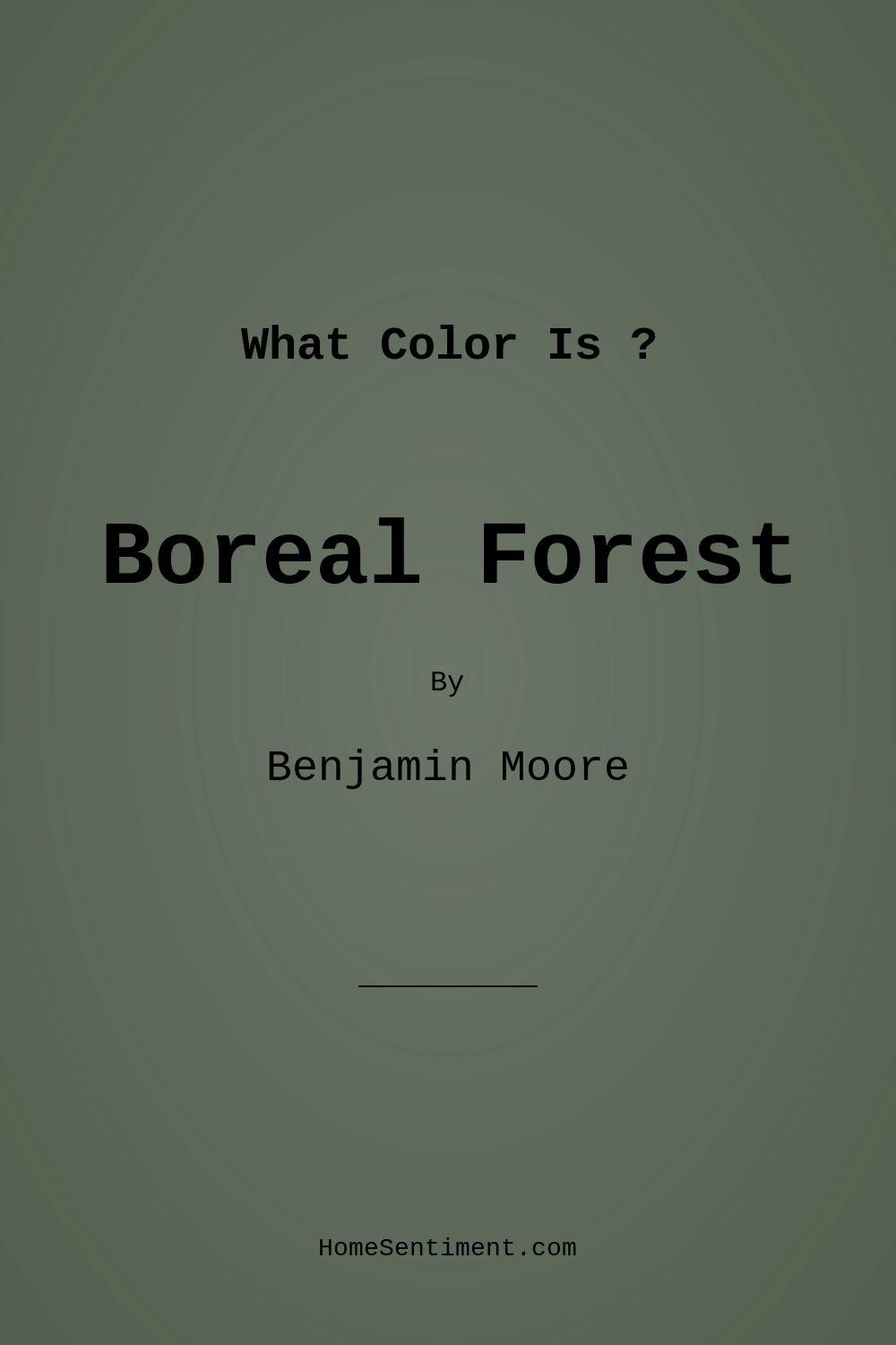 Boreal Forest AF-480 by Benjamin Moore
