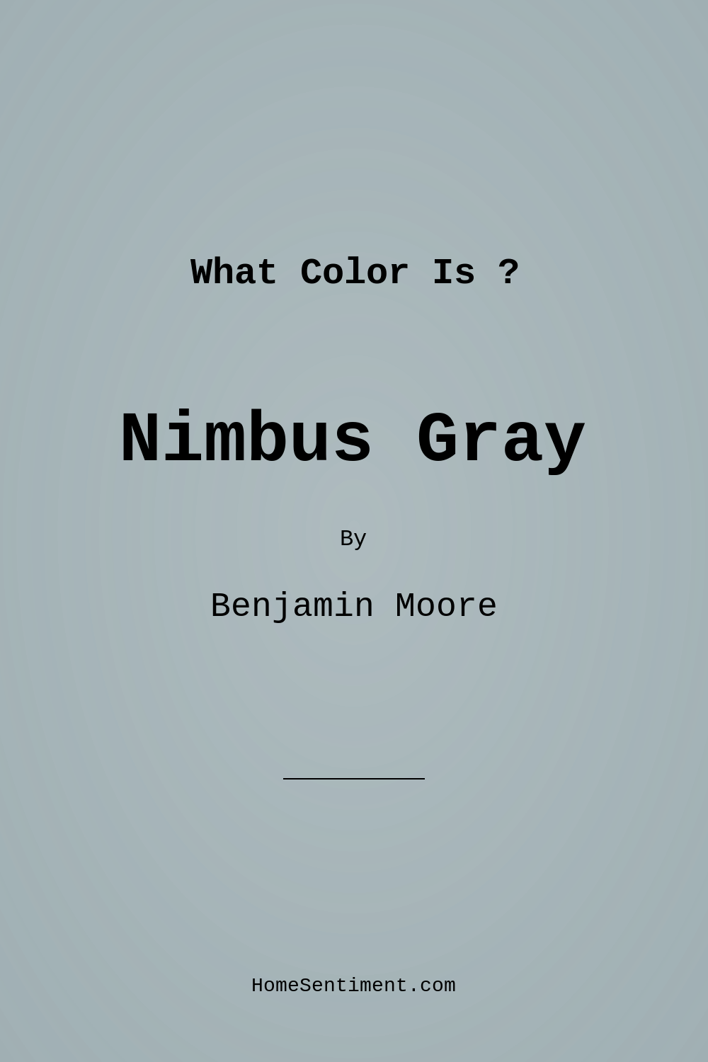 Nimbus Gray 2131-50 by Benjamin Moore