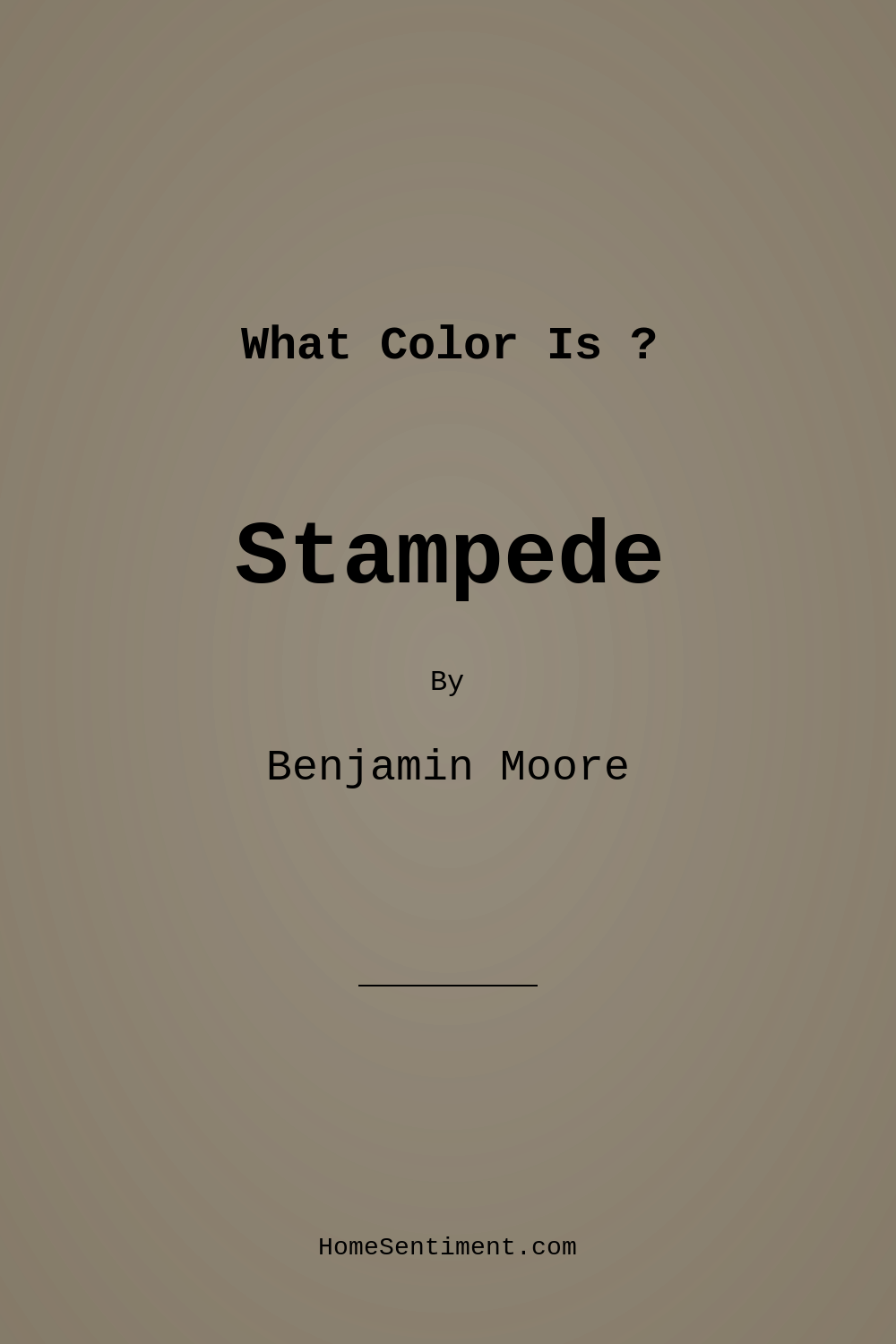 Stampede 979 by Benjamin Moore