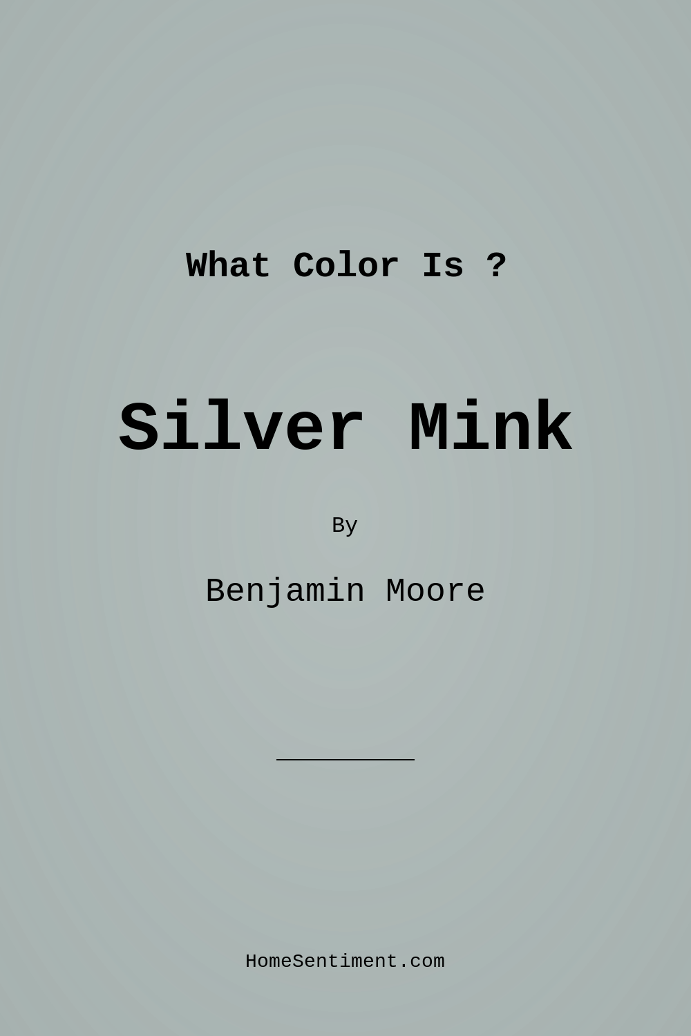 Silver Mink 1586 by Benjamin Moore