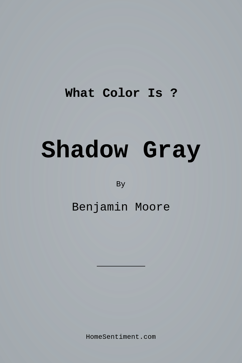 Shadow Gray 2125-40 by Benjamin Moore