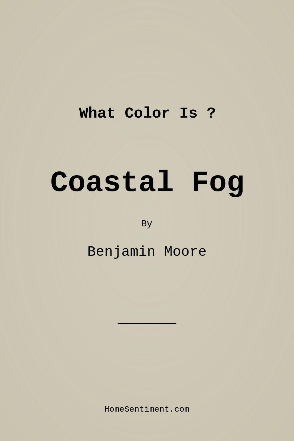 Coastal Fog 976 by Benjamin Moore