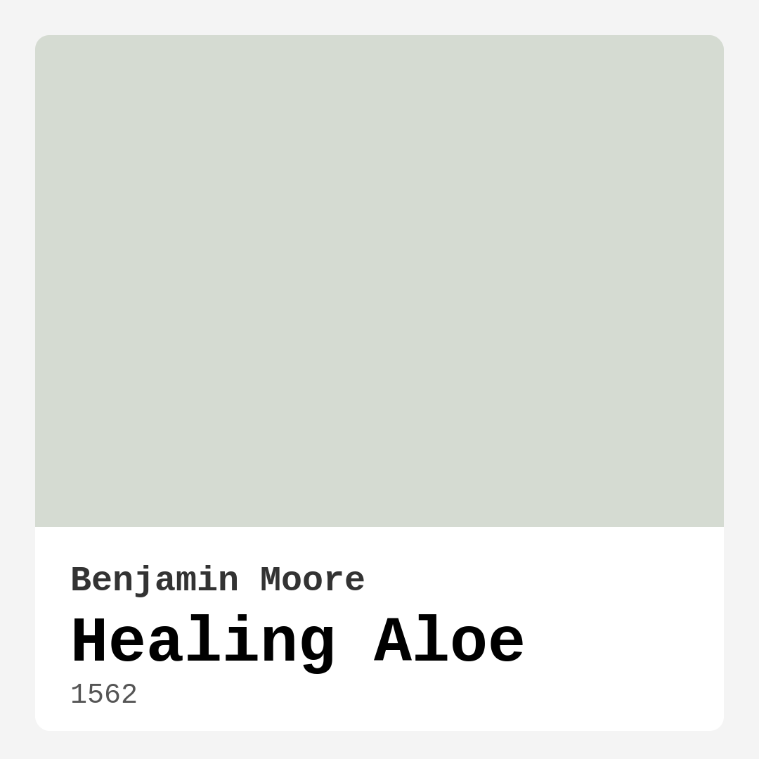 Healing Aloe 1562 by Benjamin Moore