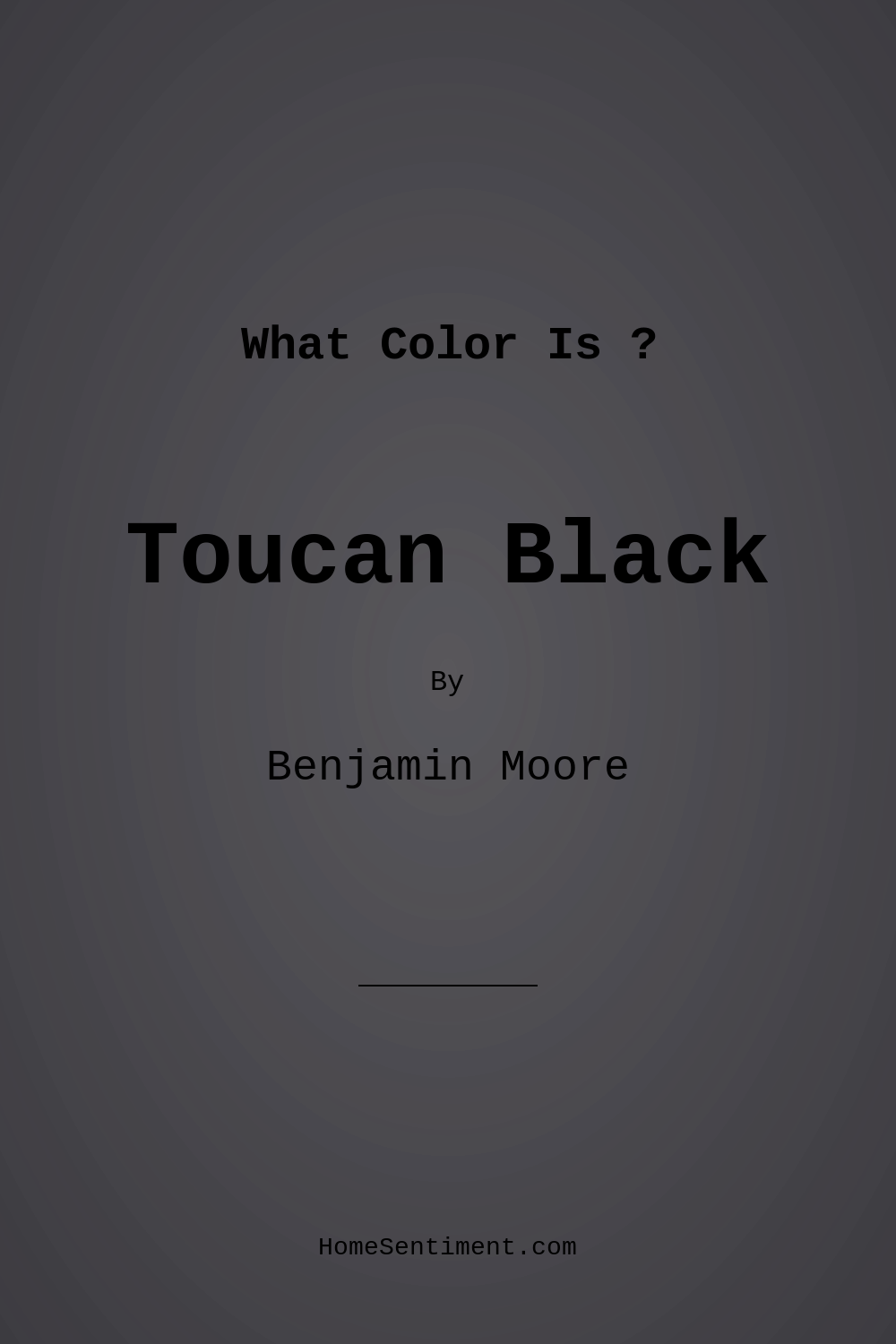 Toucan Black 2118-20 by Benjamin Moore