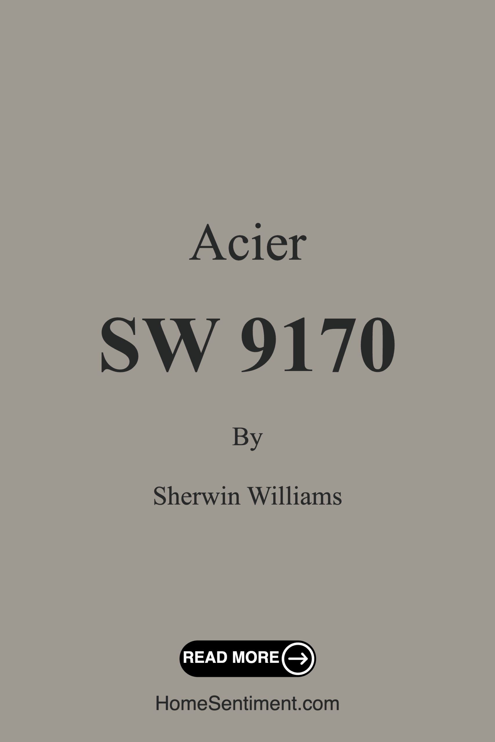 Acier SW 9170 by Sherwin Williams