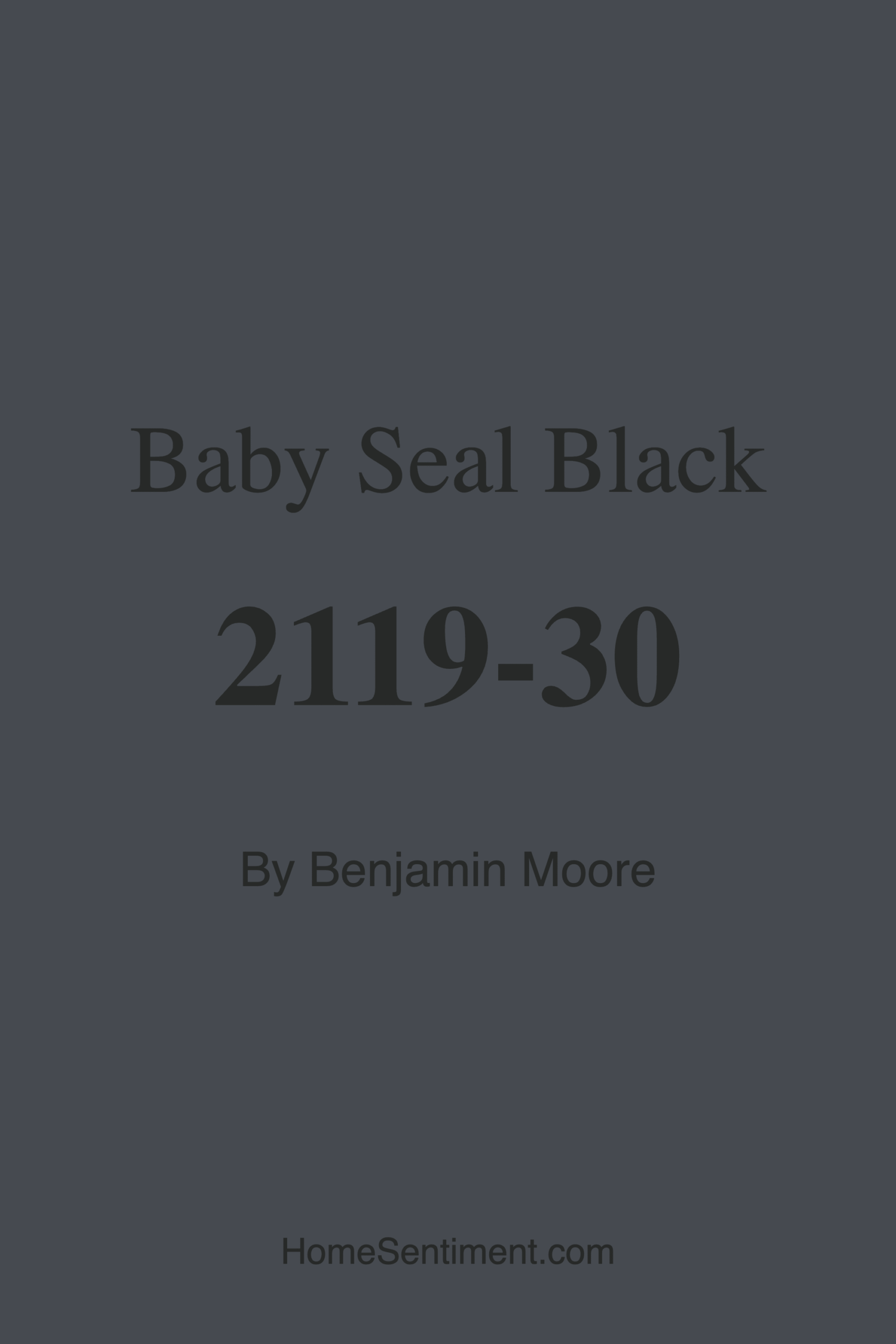 Baby Seal Black 2119-30 by Benjamin Moore