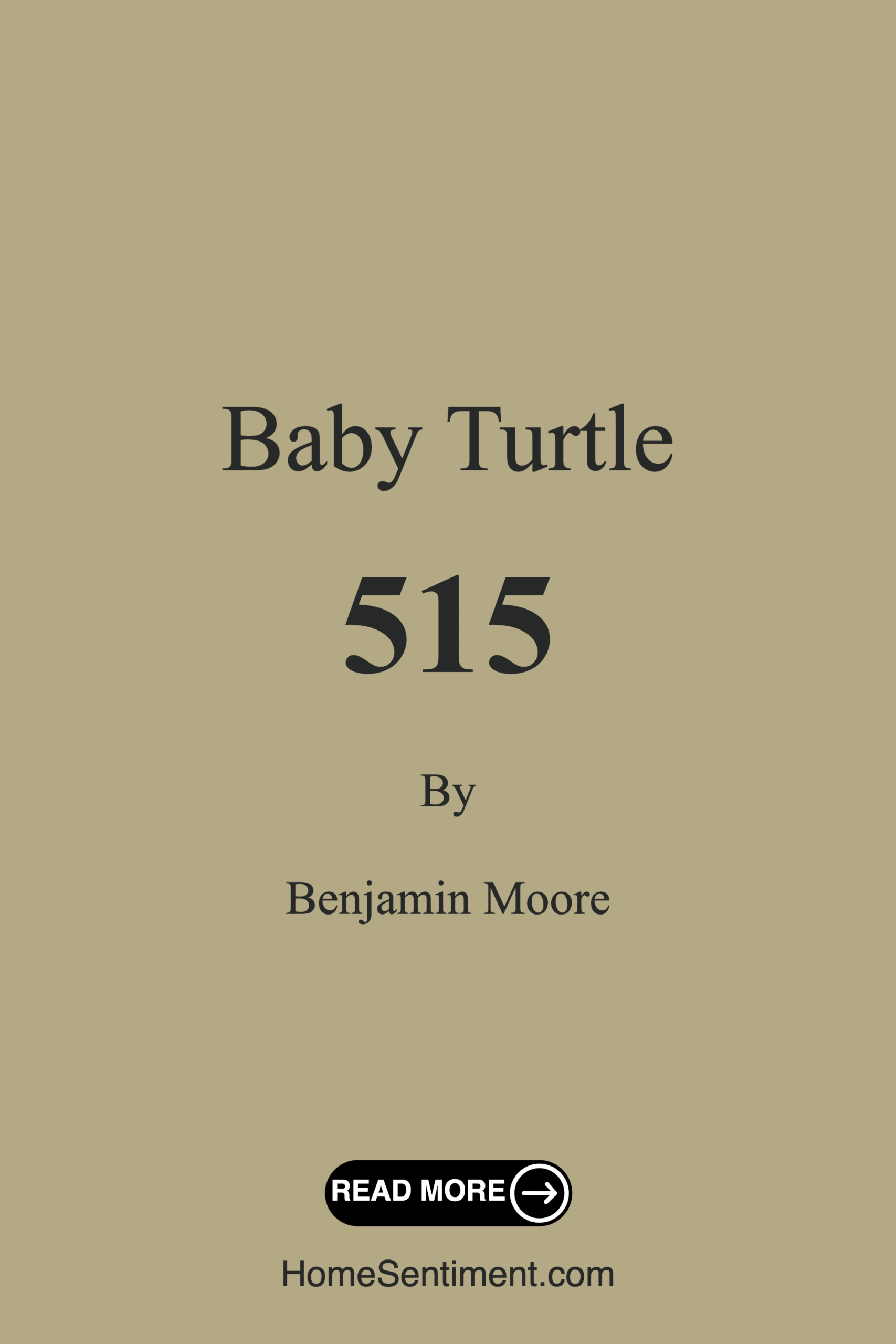 Baby Turtle 515 by Benjamin Moore