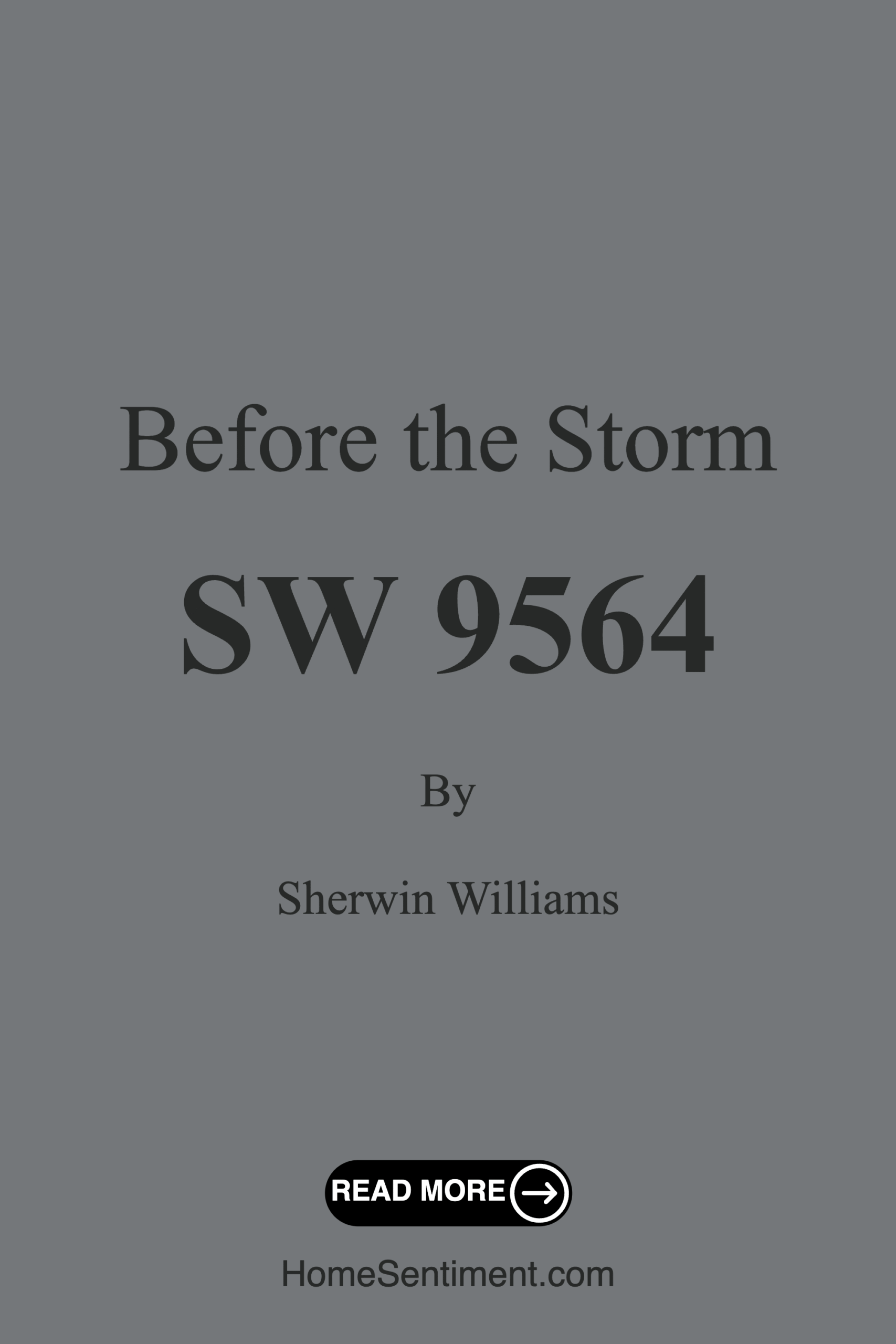 Before the Storm SW 9564 by Sherwin Williams