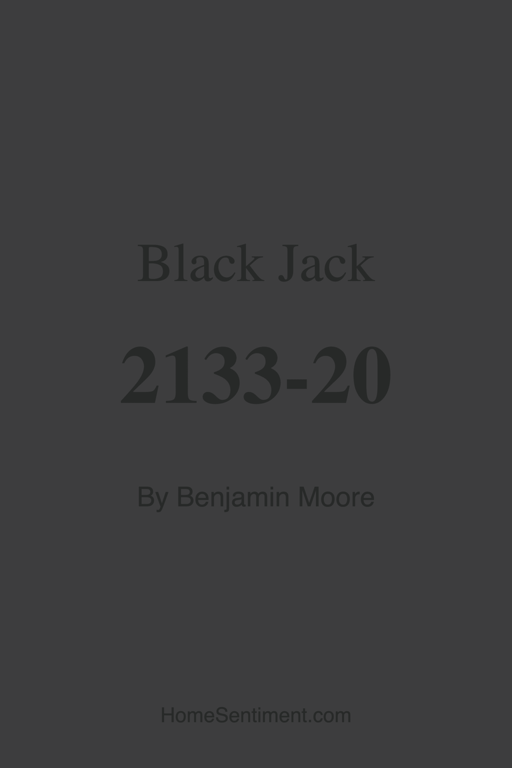 Black Jack 2133-20 by Benjamin Moore