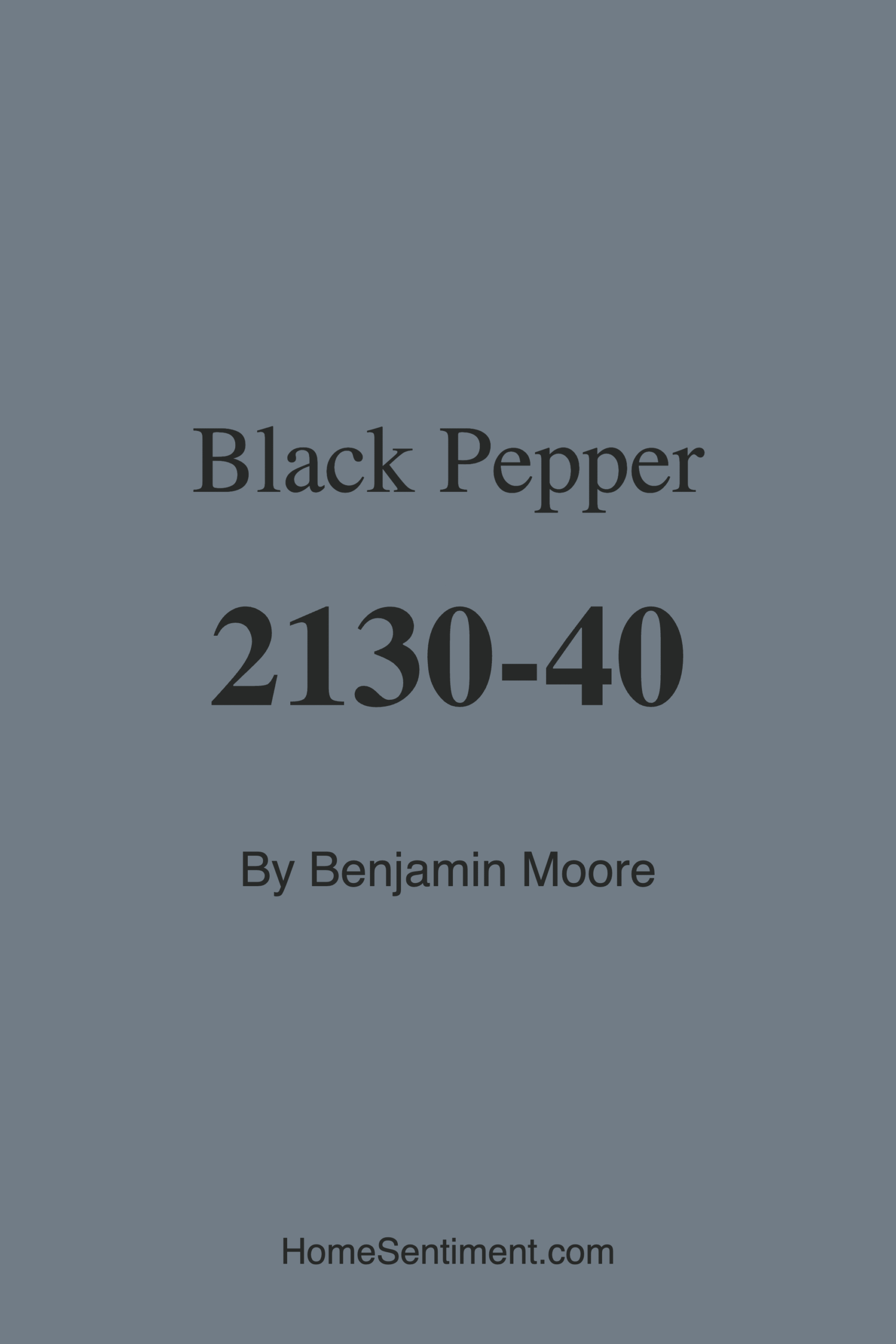 Black Pepper 2130-40 by Benjamin Moore