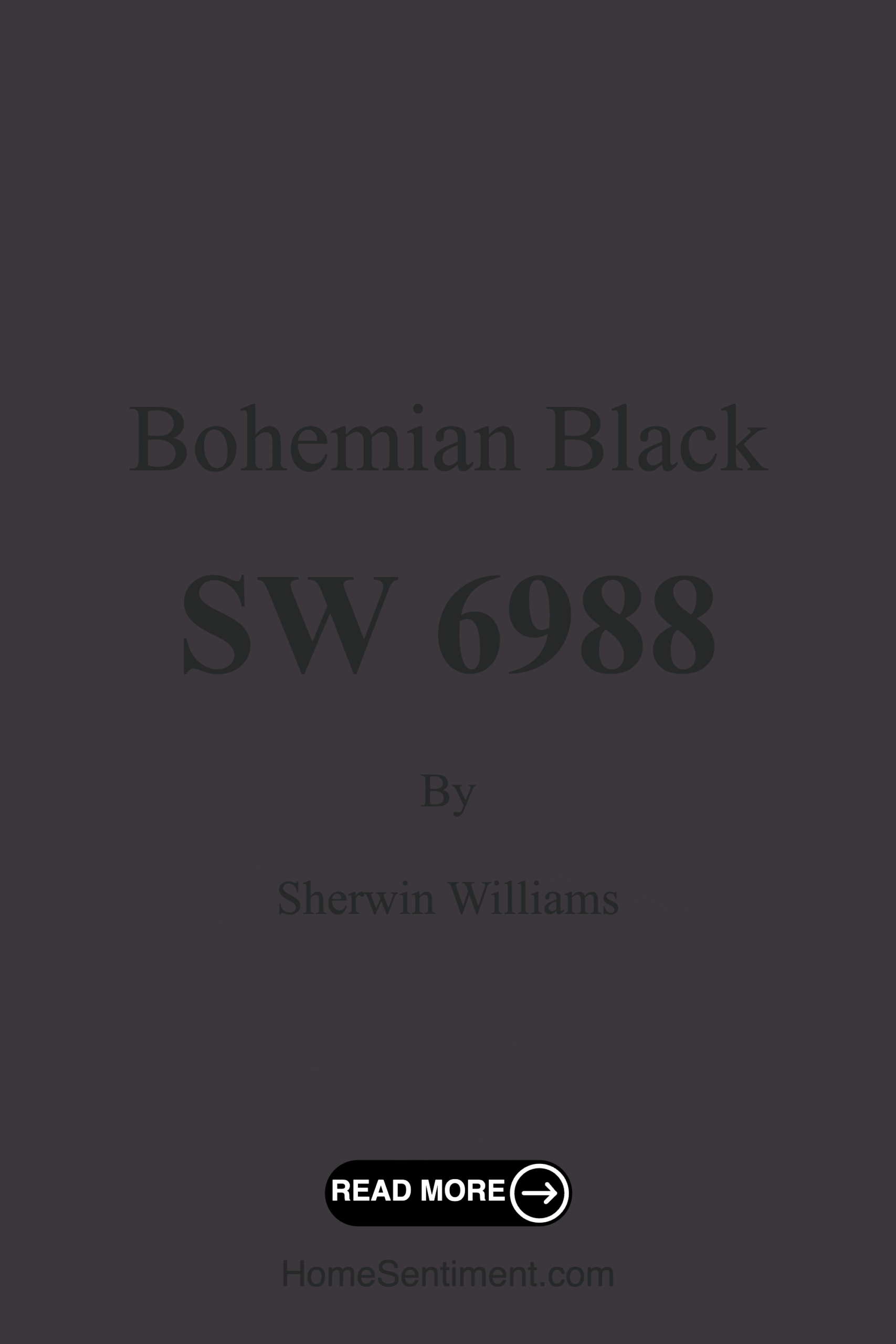 Bohemian Black SW 6988 by Sherwin Williams